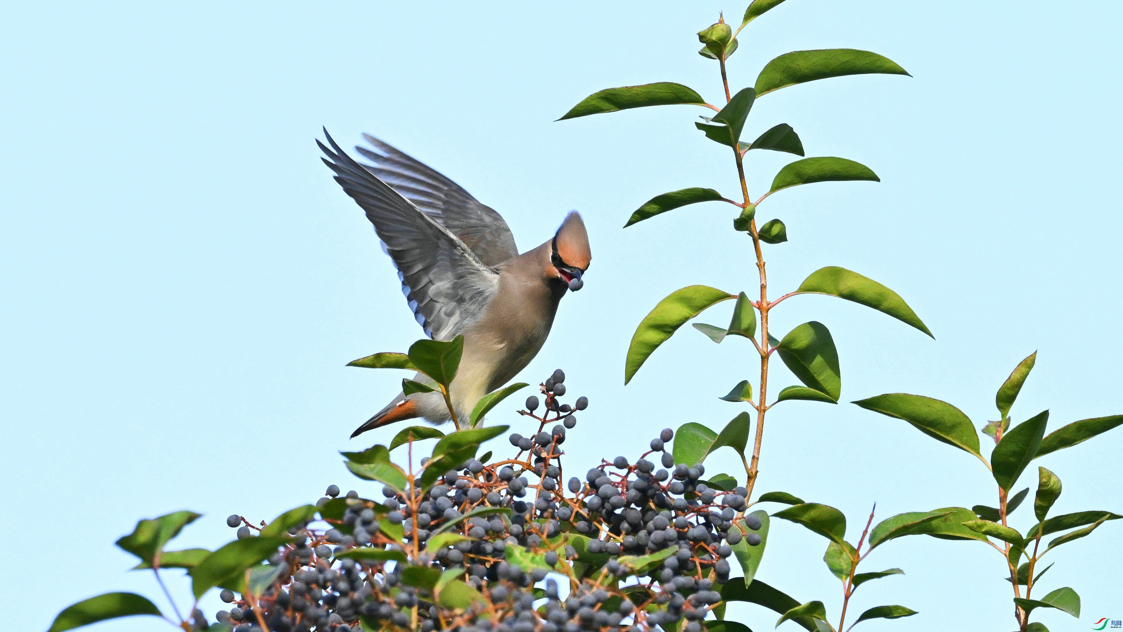 DSC_5739.JPG