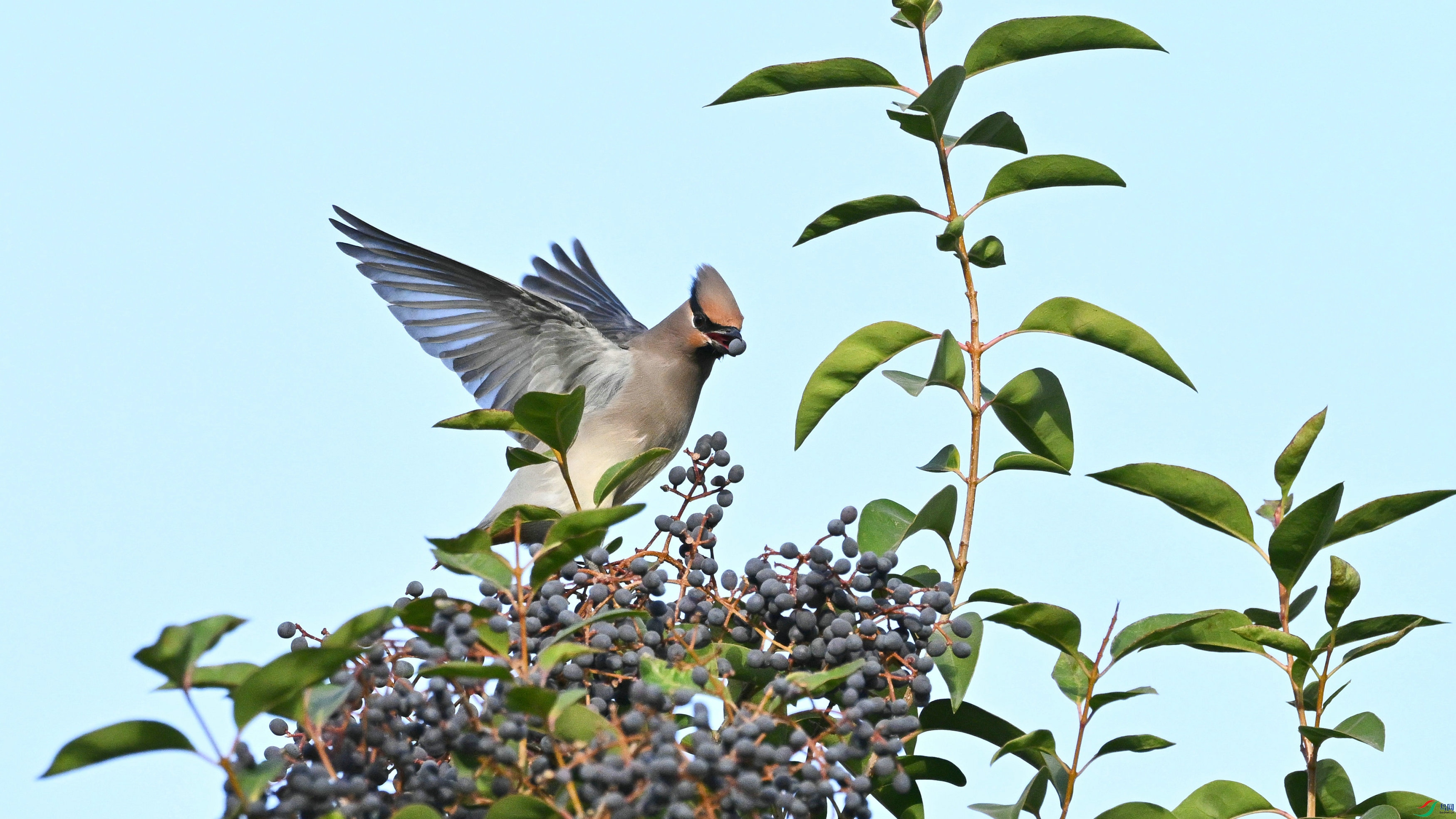DSC_5736.JPG