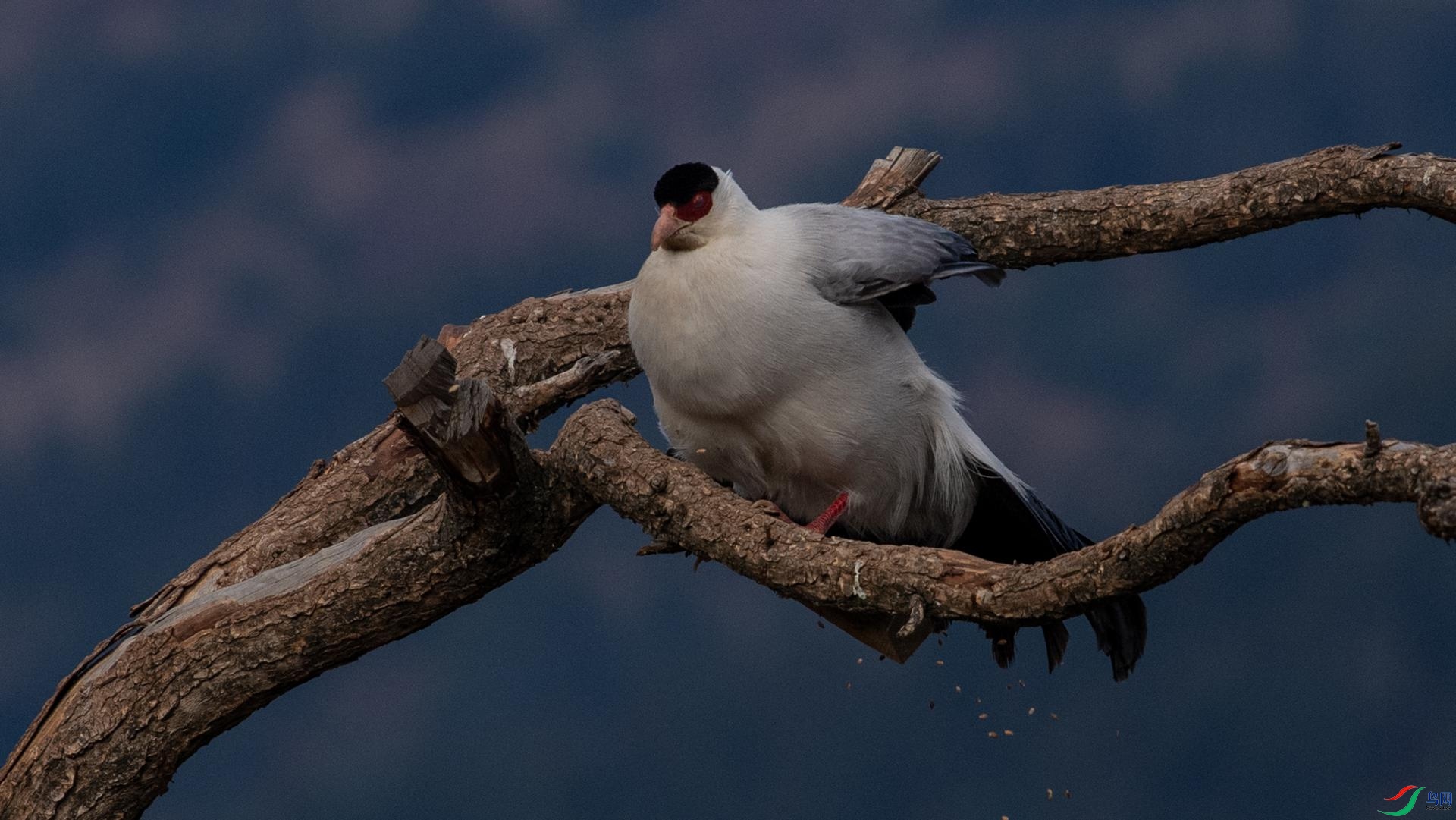 WGB_1050 ����.jpg