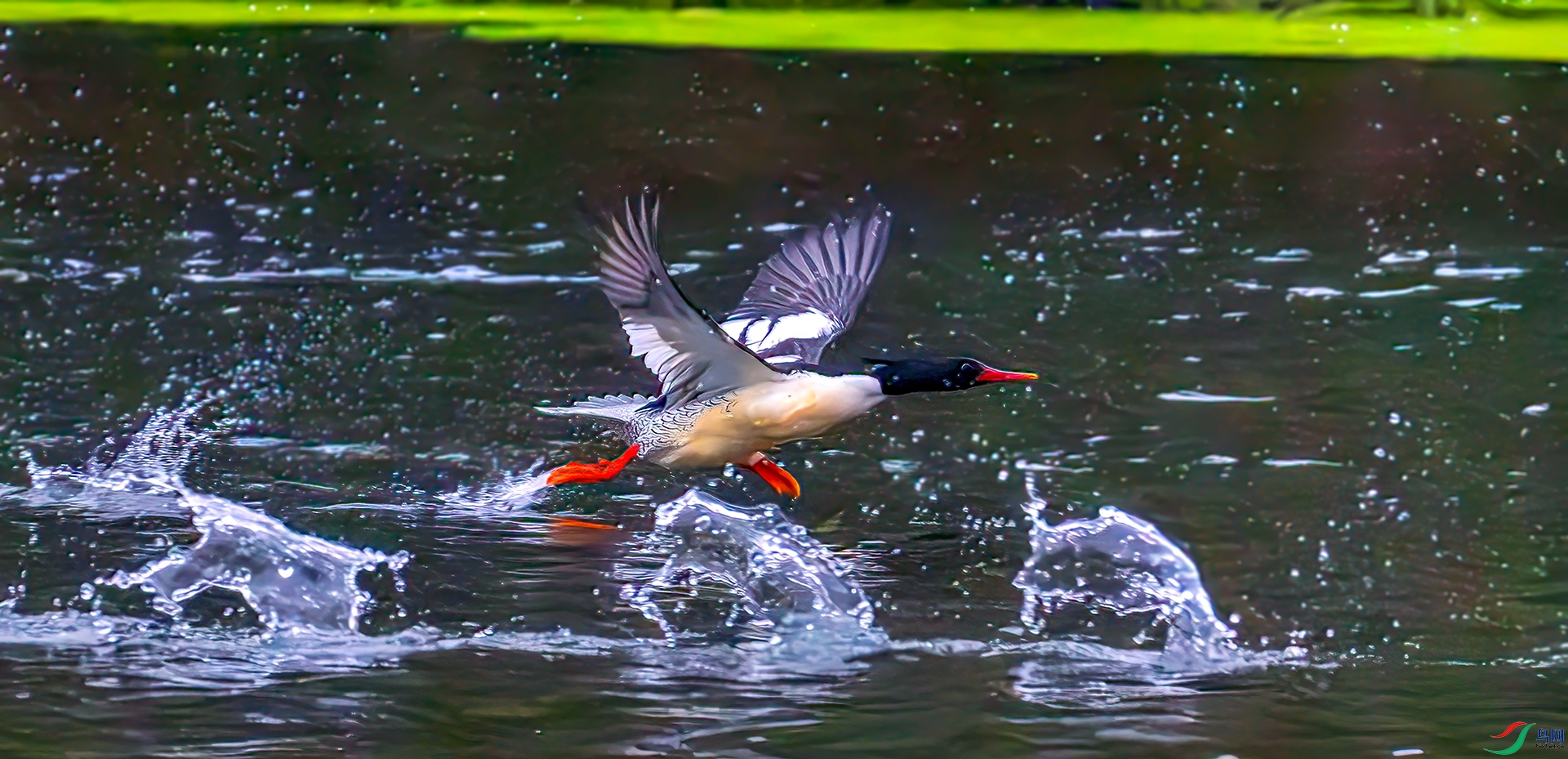 407A9480-----33  .jpg