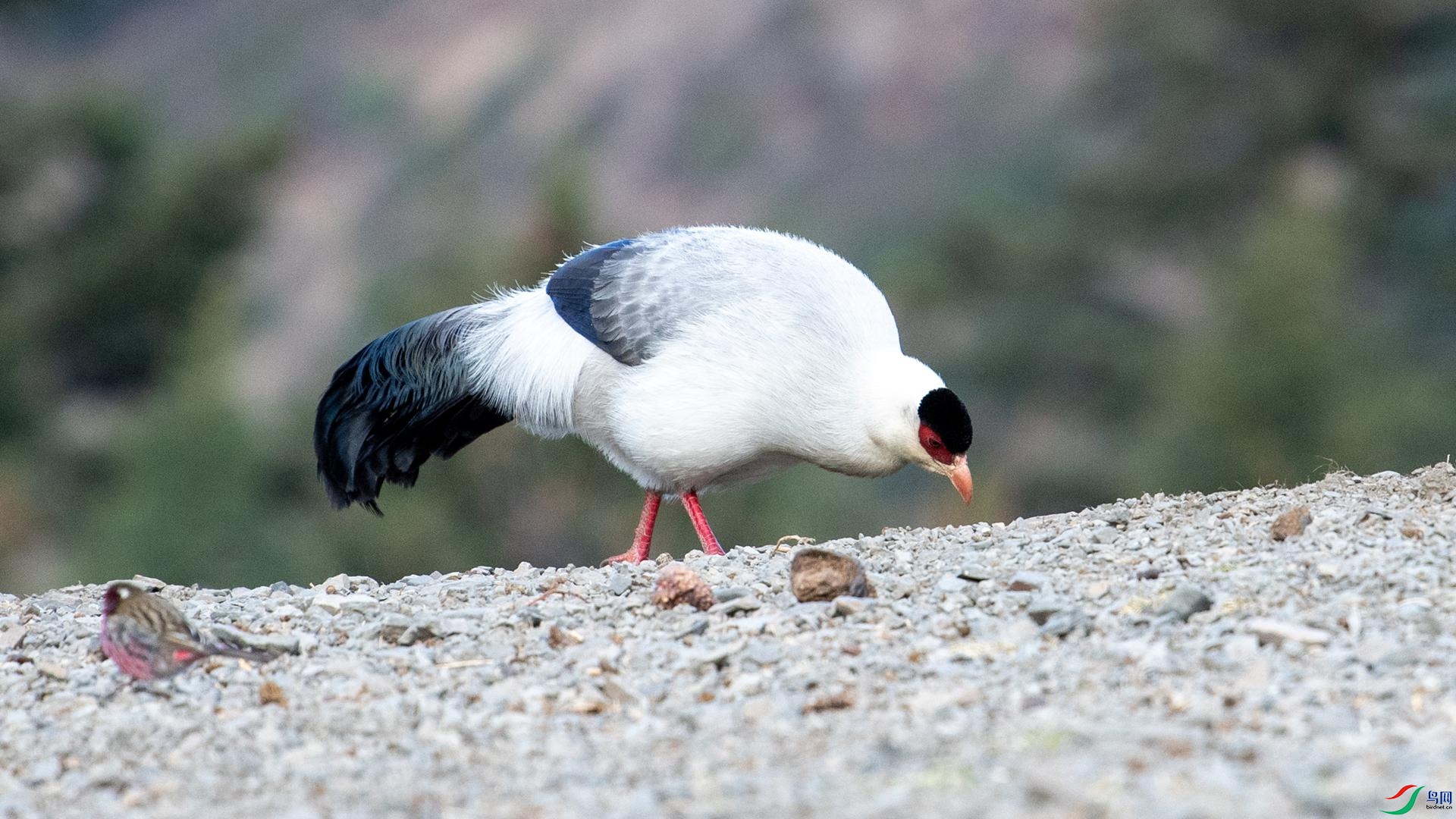 WGB_1307 ����.jpg