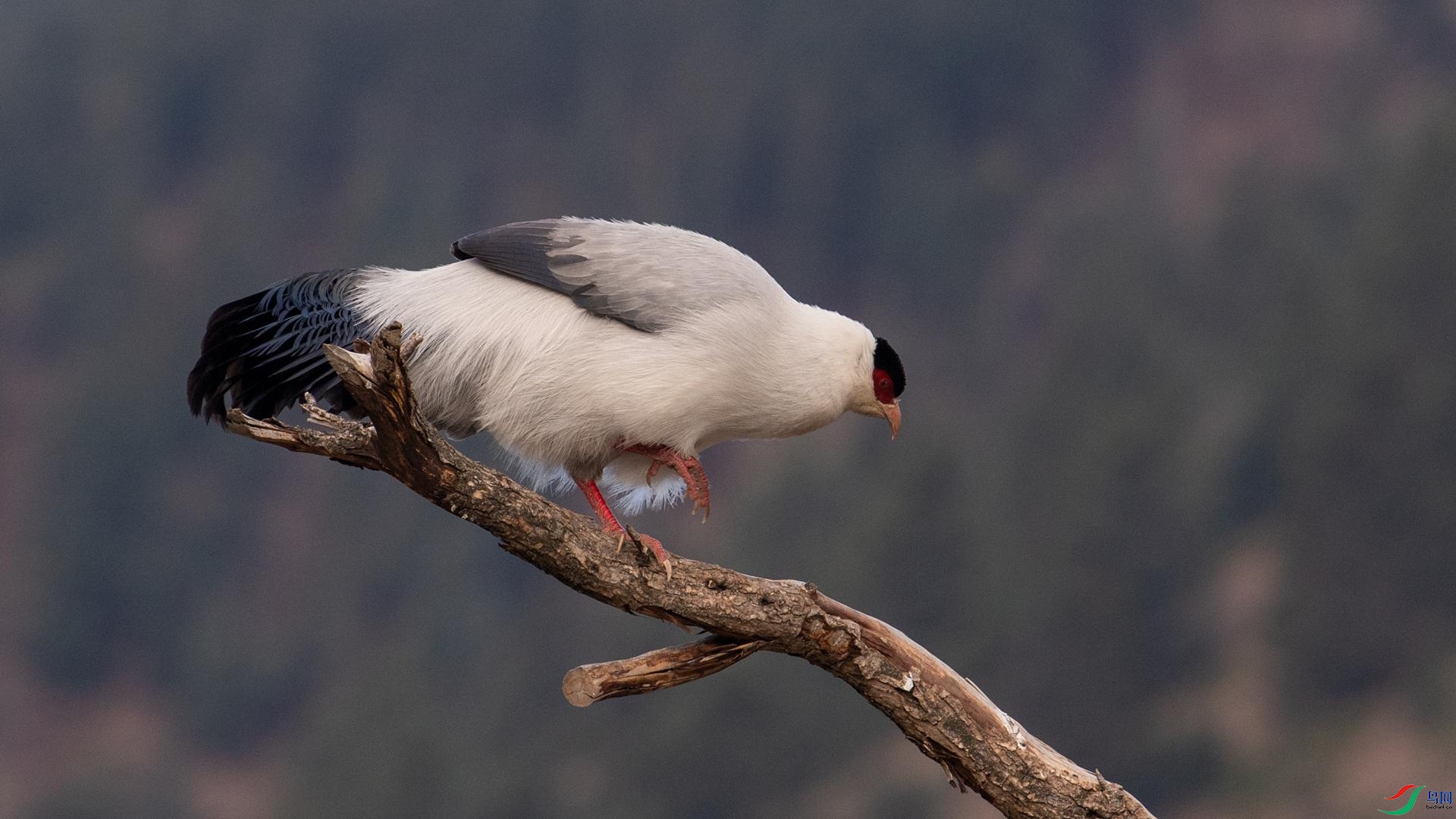 WGB_1423 ����.jpg