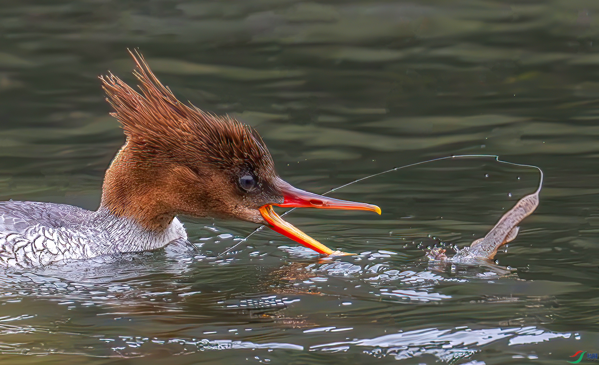 407A6758-----33  .jpg