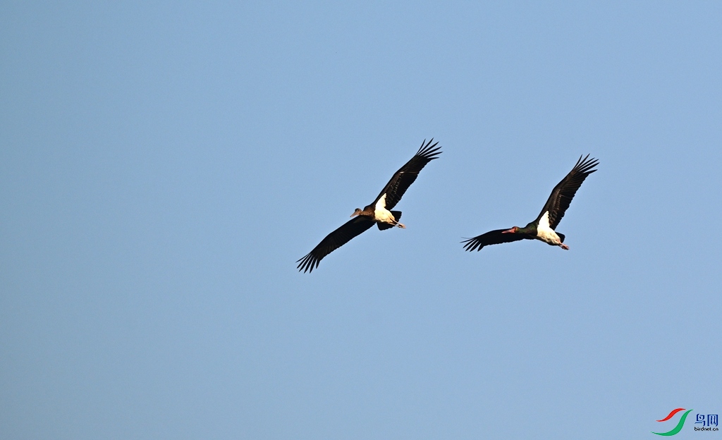 DSC_4316.JPG