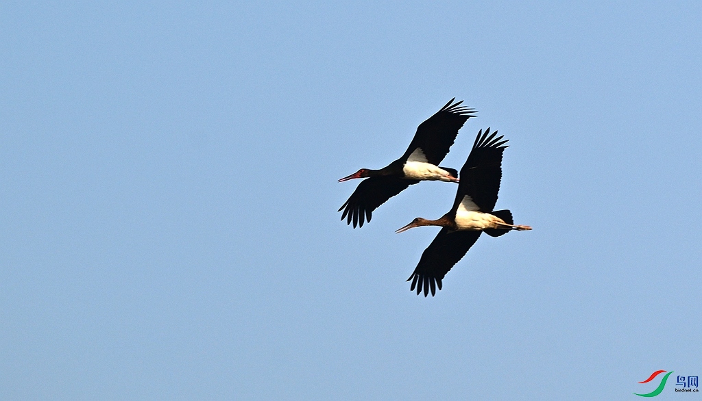 DSC_4333.JPG