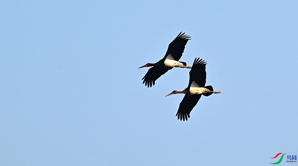 DSC_4335.JPG