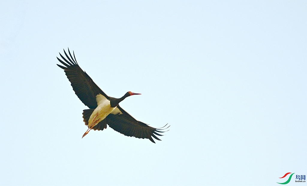 DSC_7139.JPG