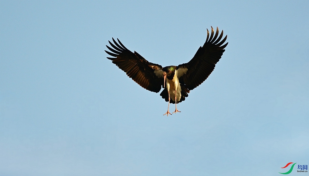DSC_7246.JPG