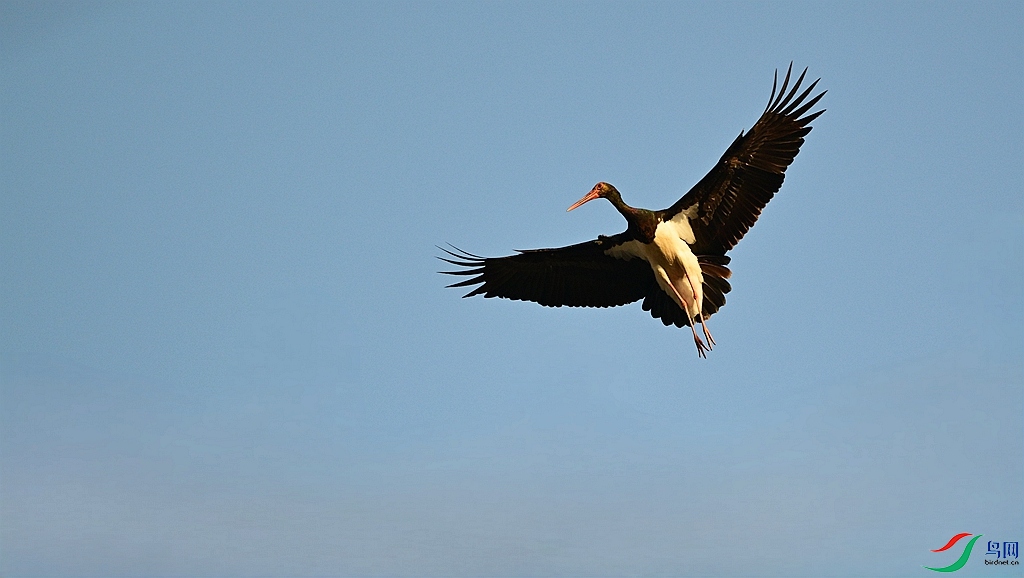 DSC_7261.JPG