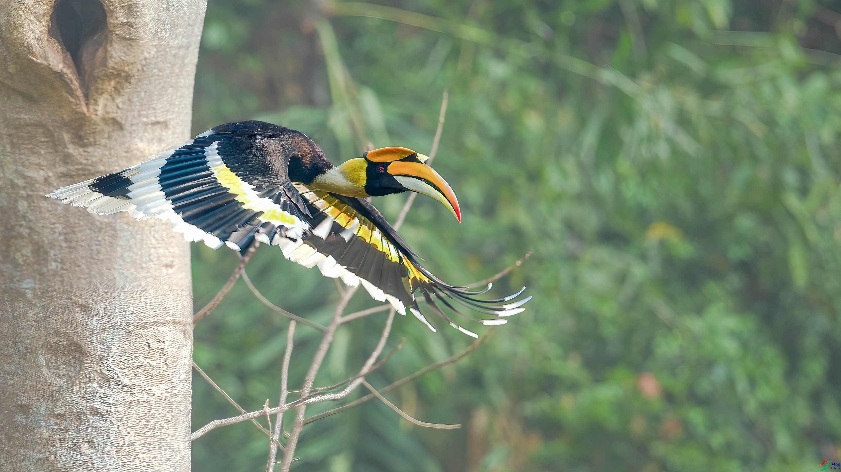 a_71435-1.jpg