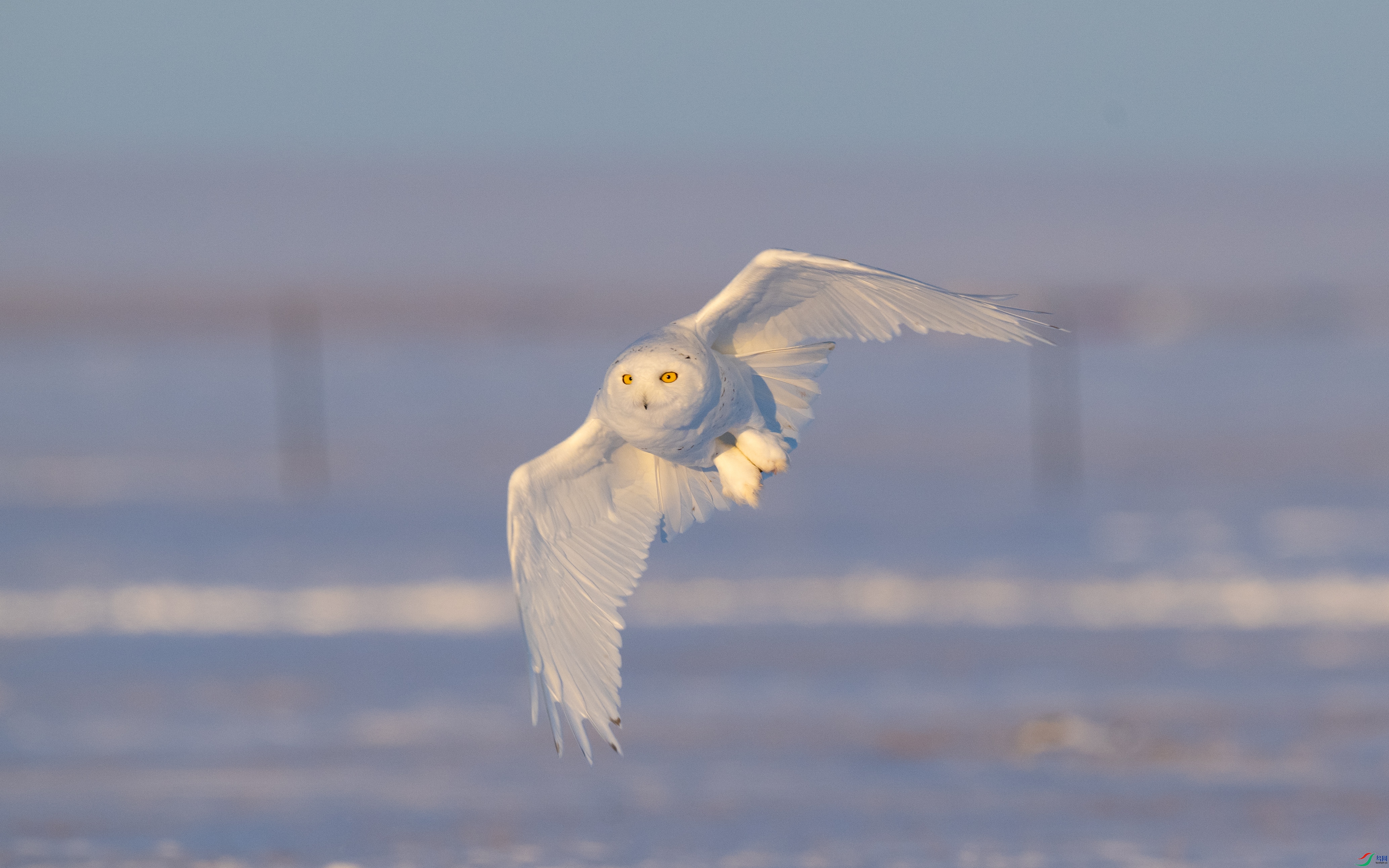 DSC_1519.jpg