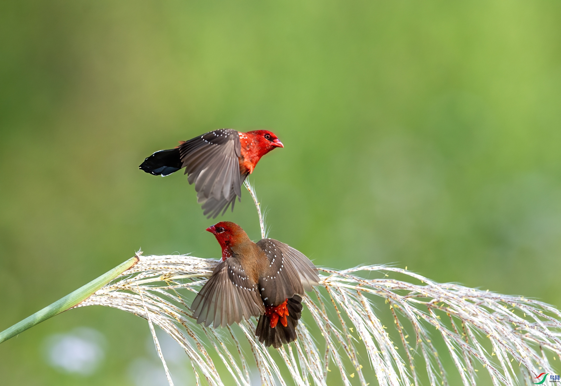DSC_8940-1.jpg