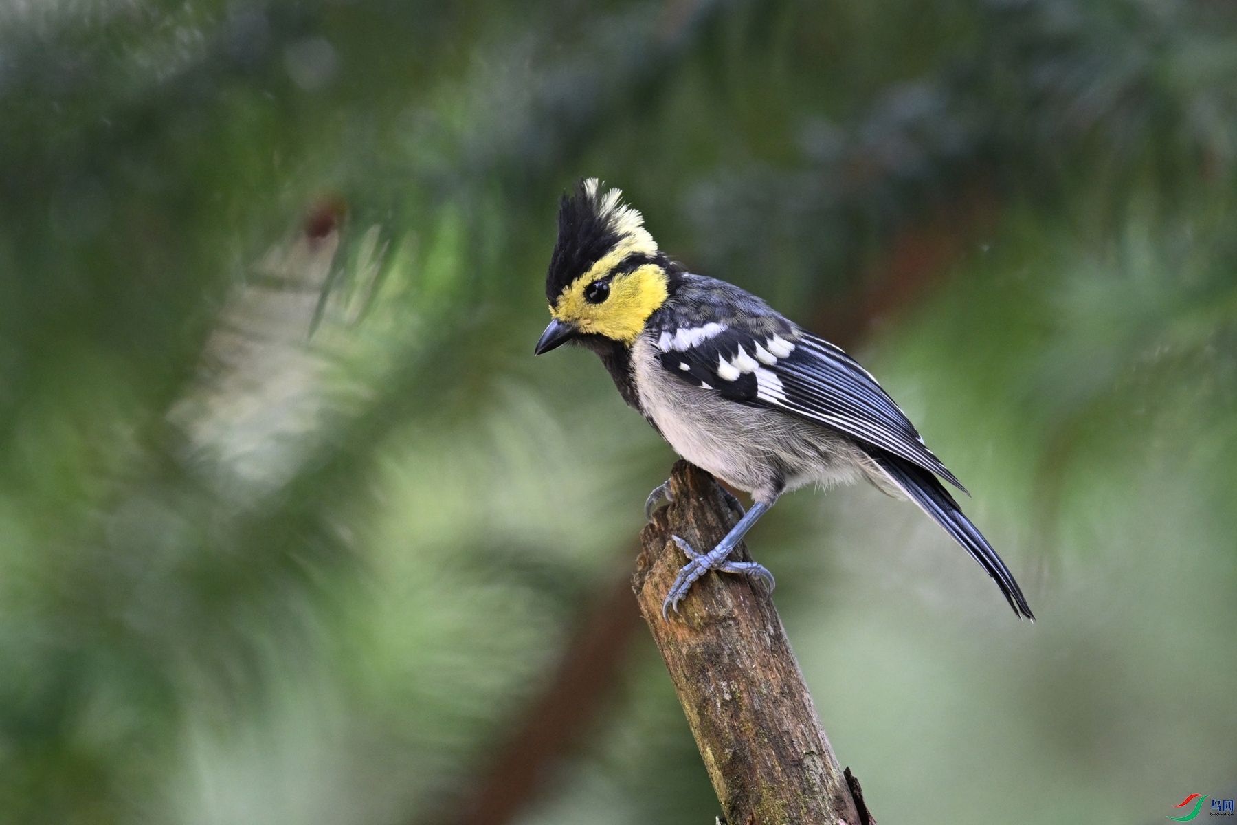 DSC_0095.JPG