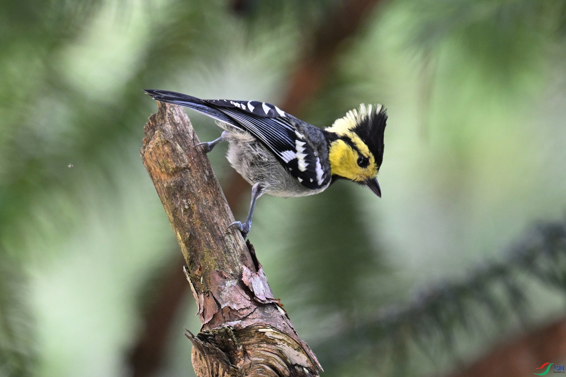 DSC_0117.JPG
