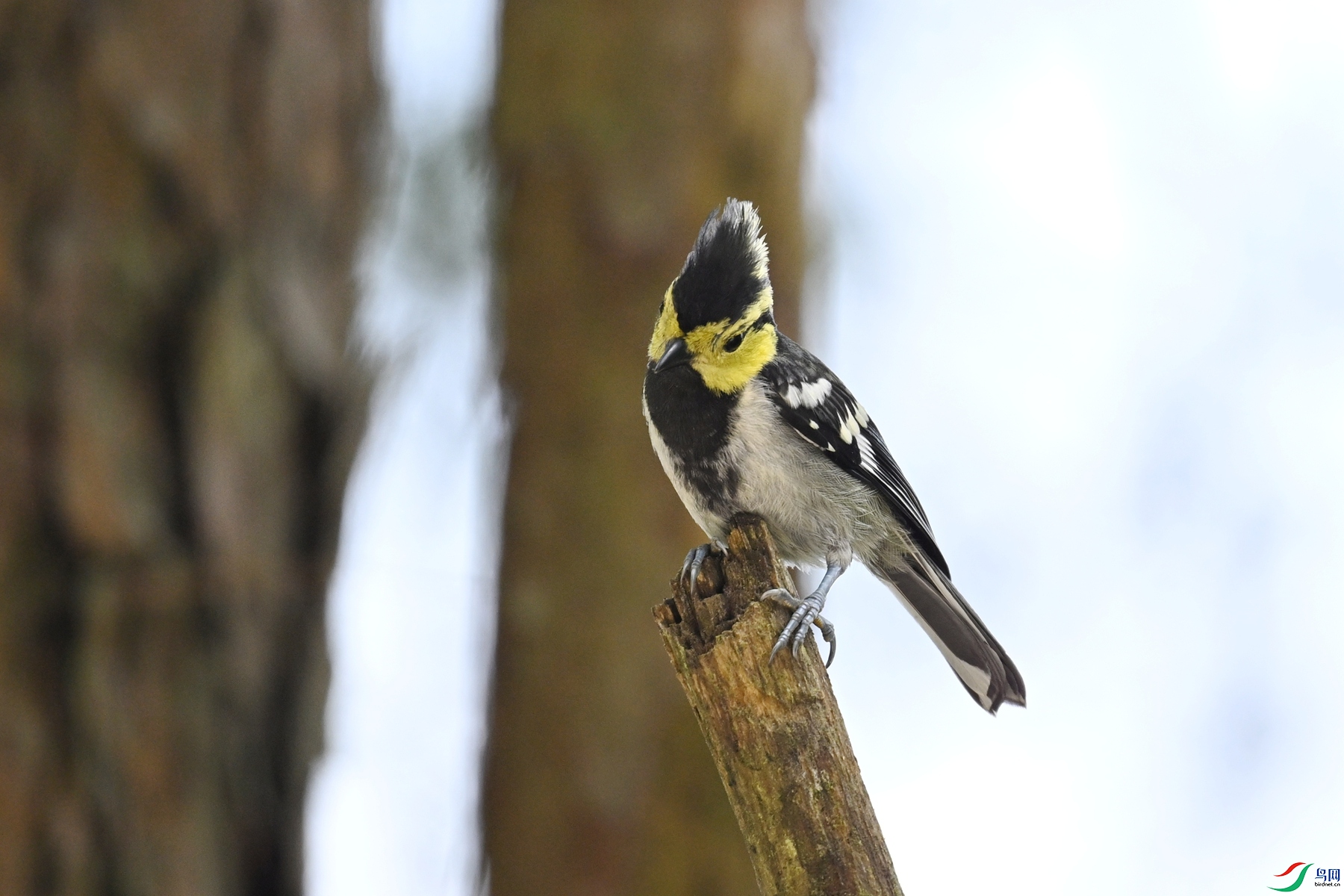 DSC_0069.JPG