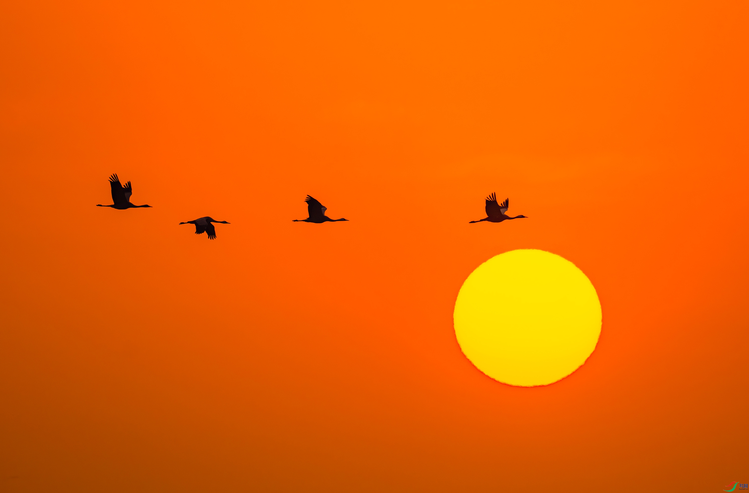 _DSC5640_091354.jpg