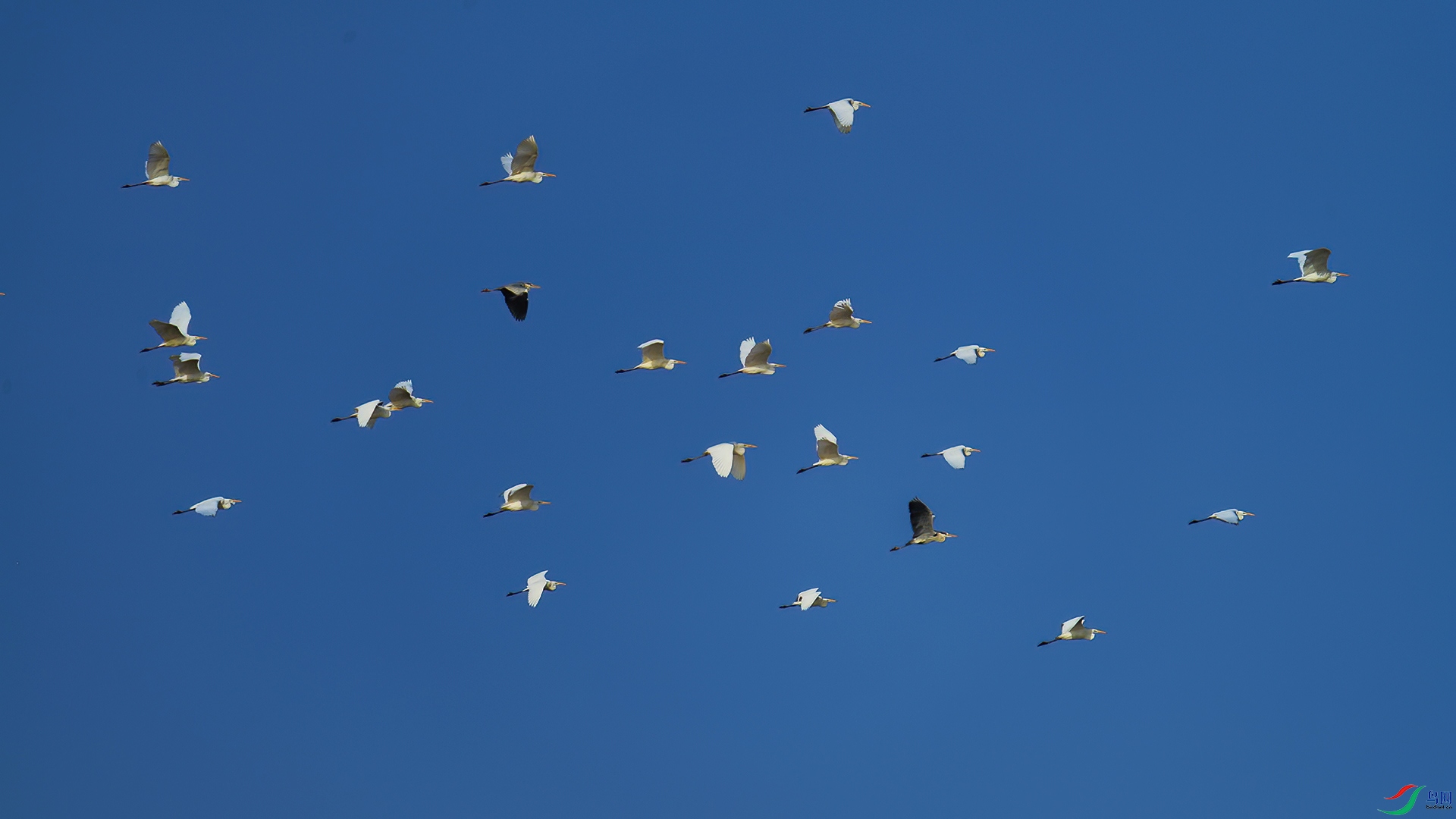 DSC_2431-1-20250828�� .jpg