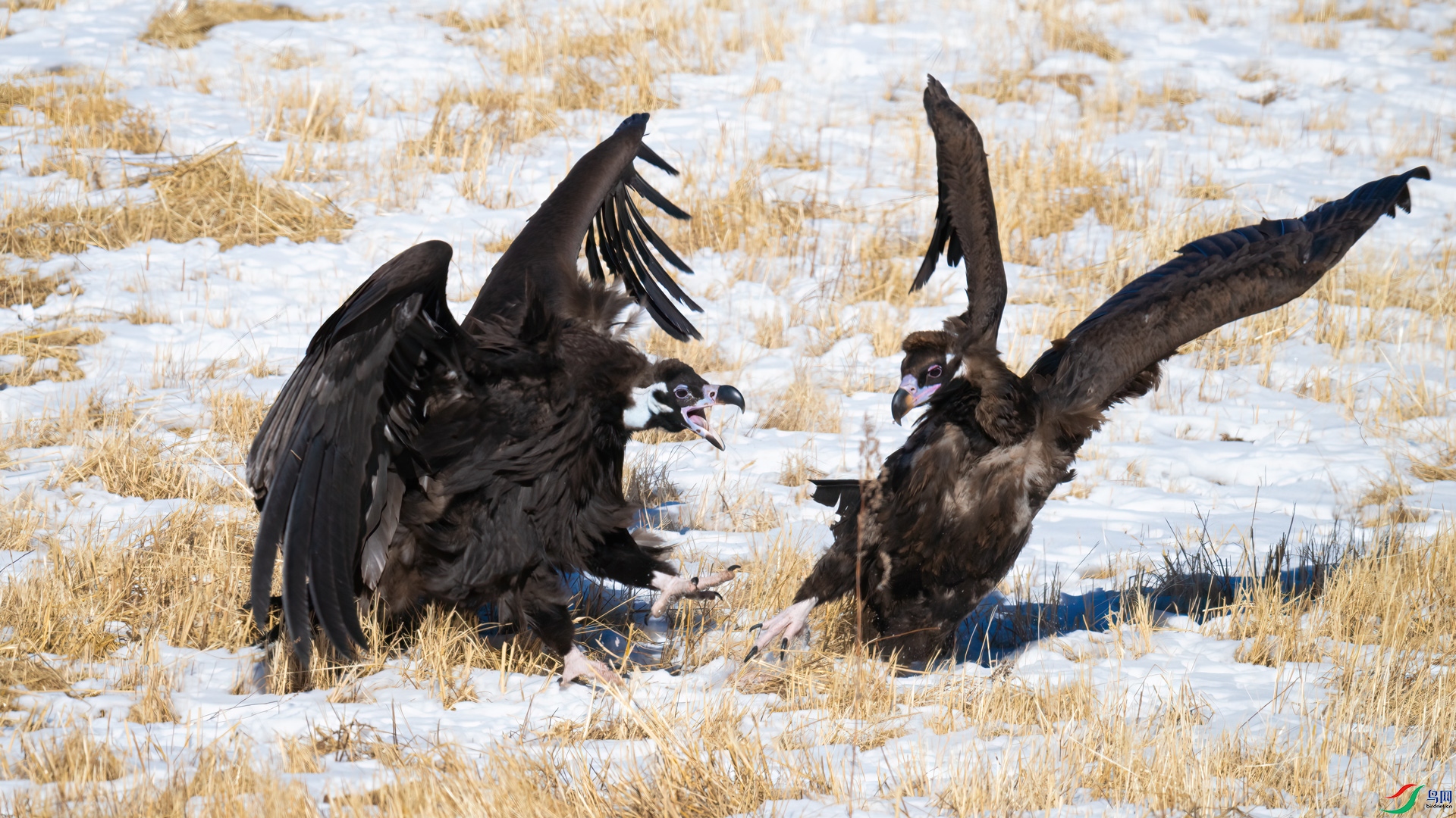 _DSC4880-1xx.jpg