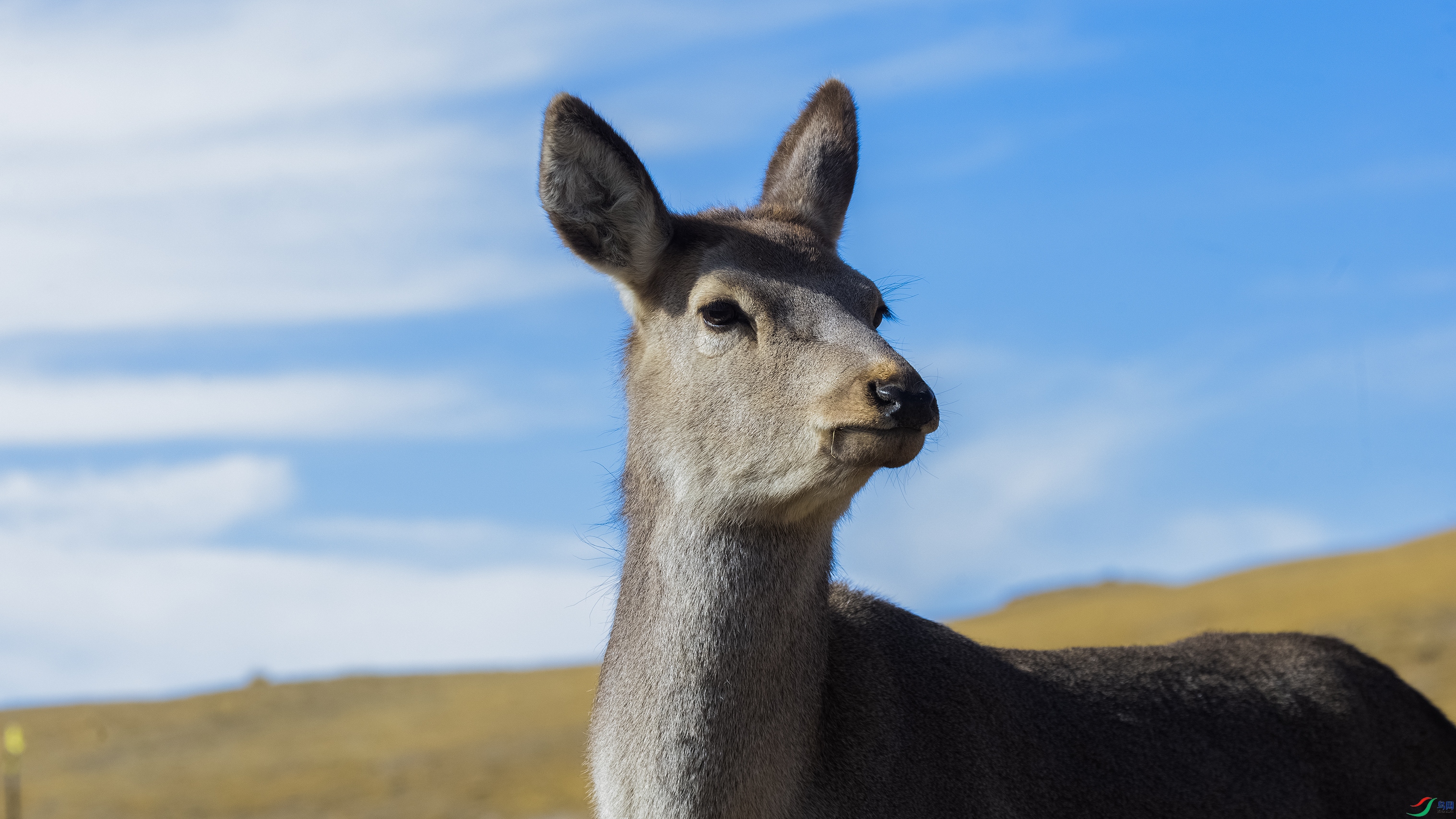 _X5A4482 ����4444.jpg