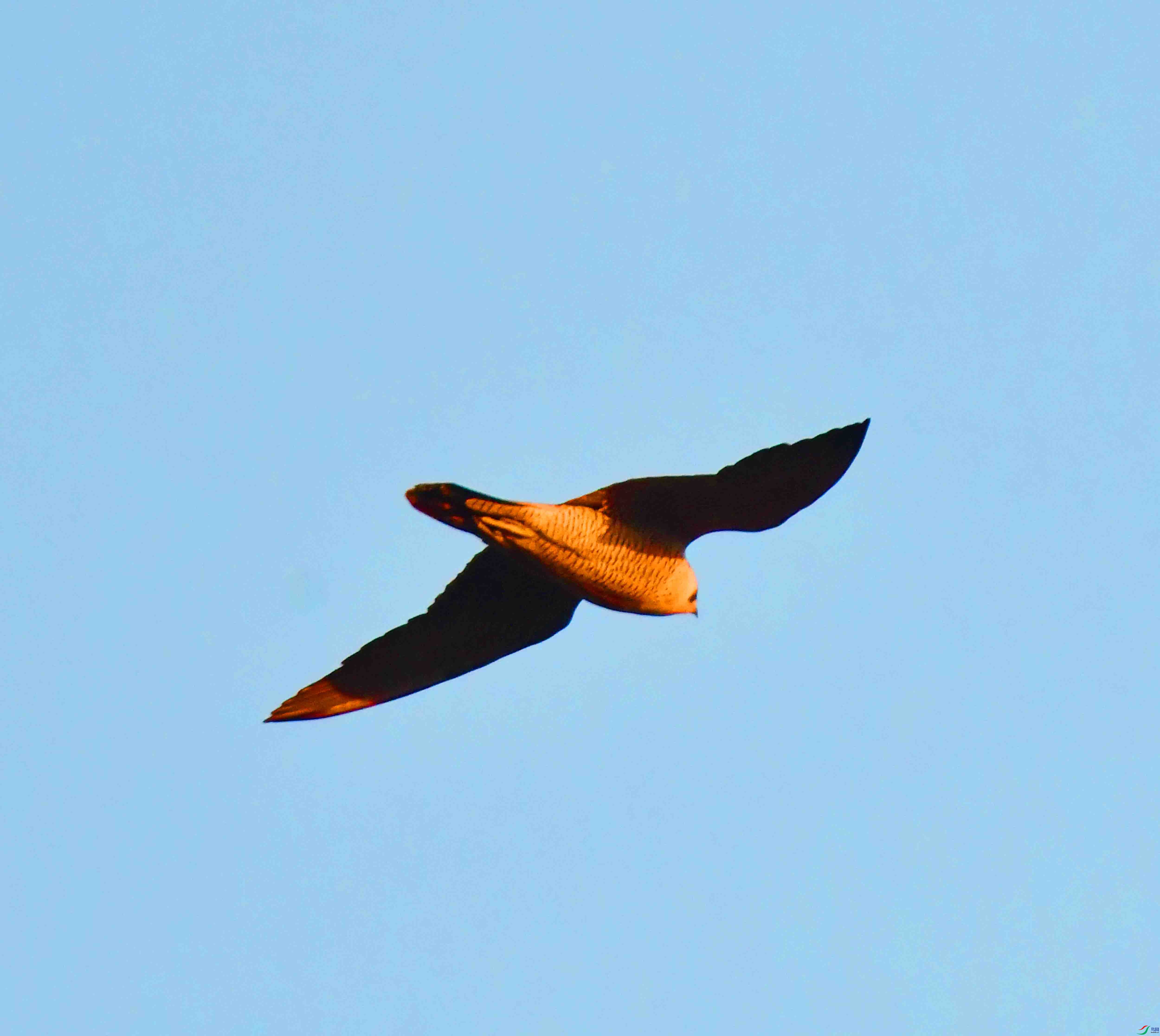 DSC_2821.JPG