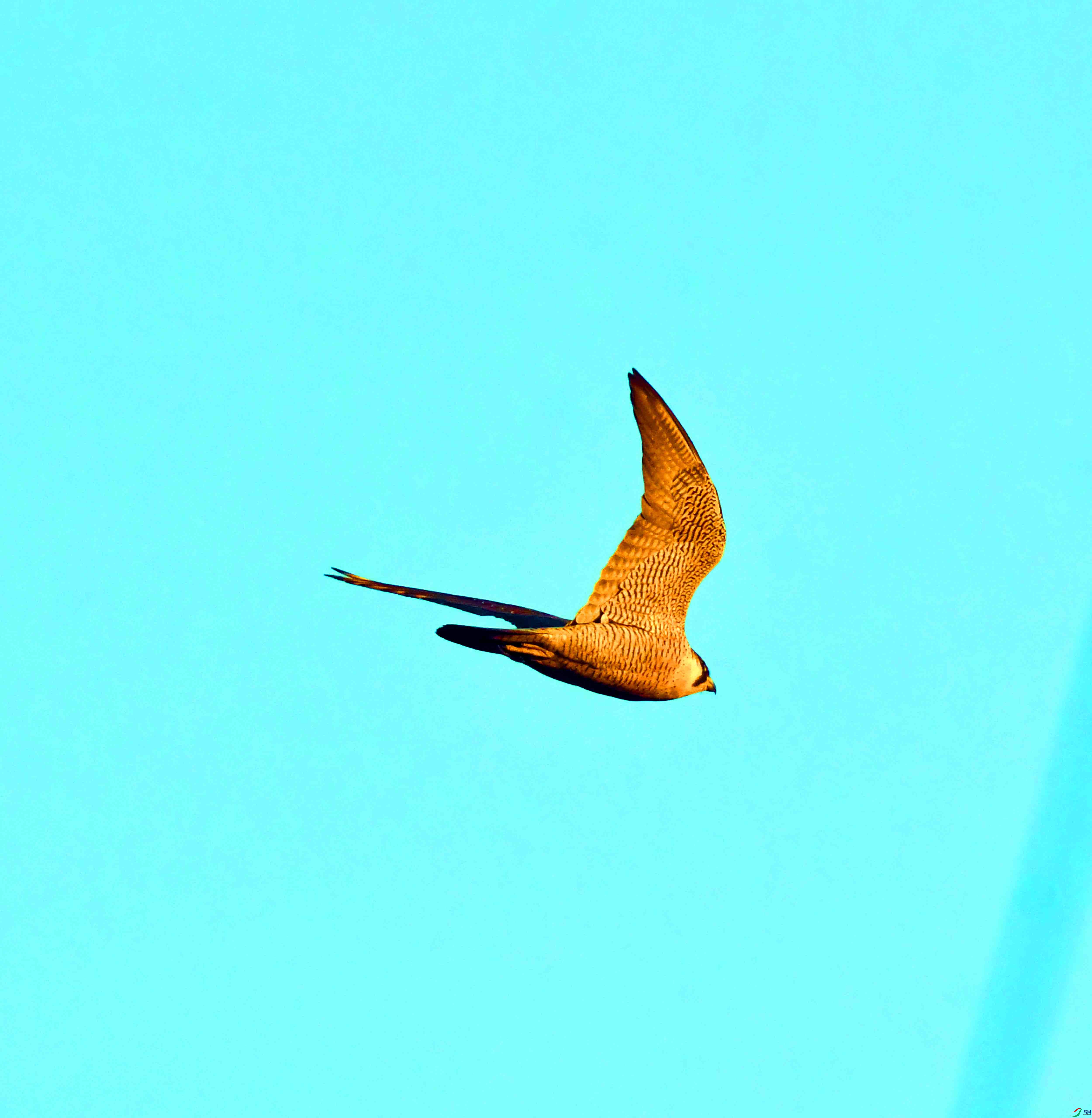 DSC_2825.JPG