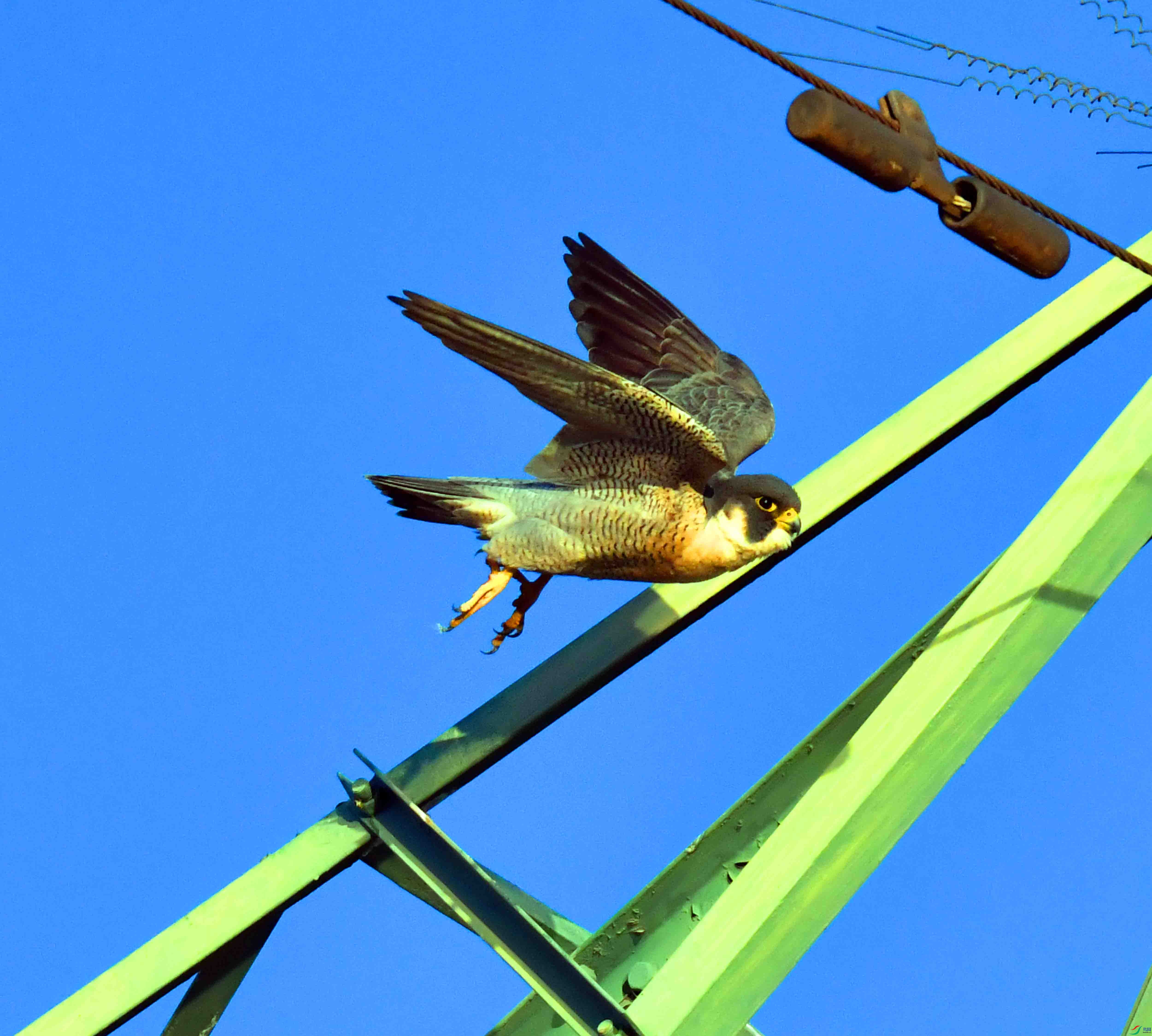 DSC_2909.JPG