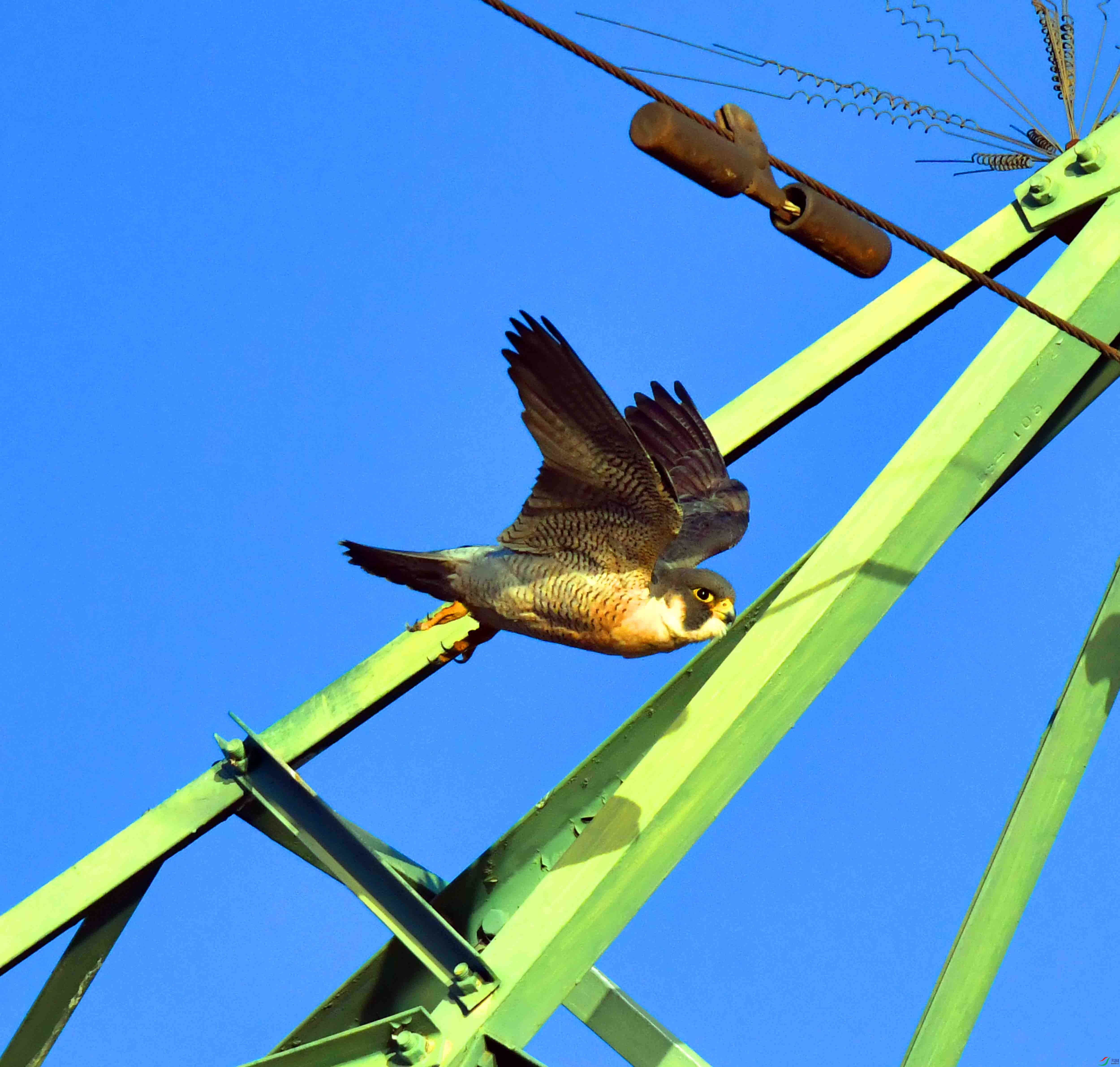 DSC_2910.JPG