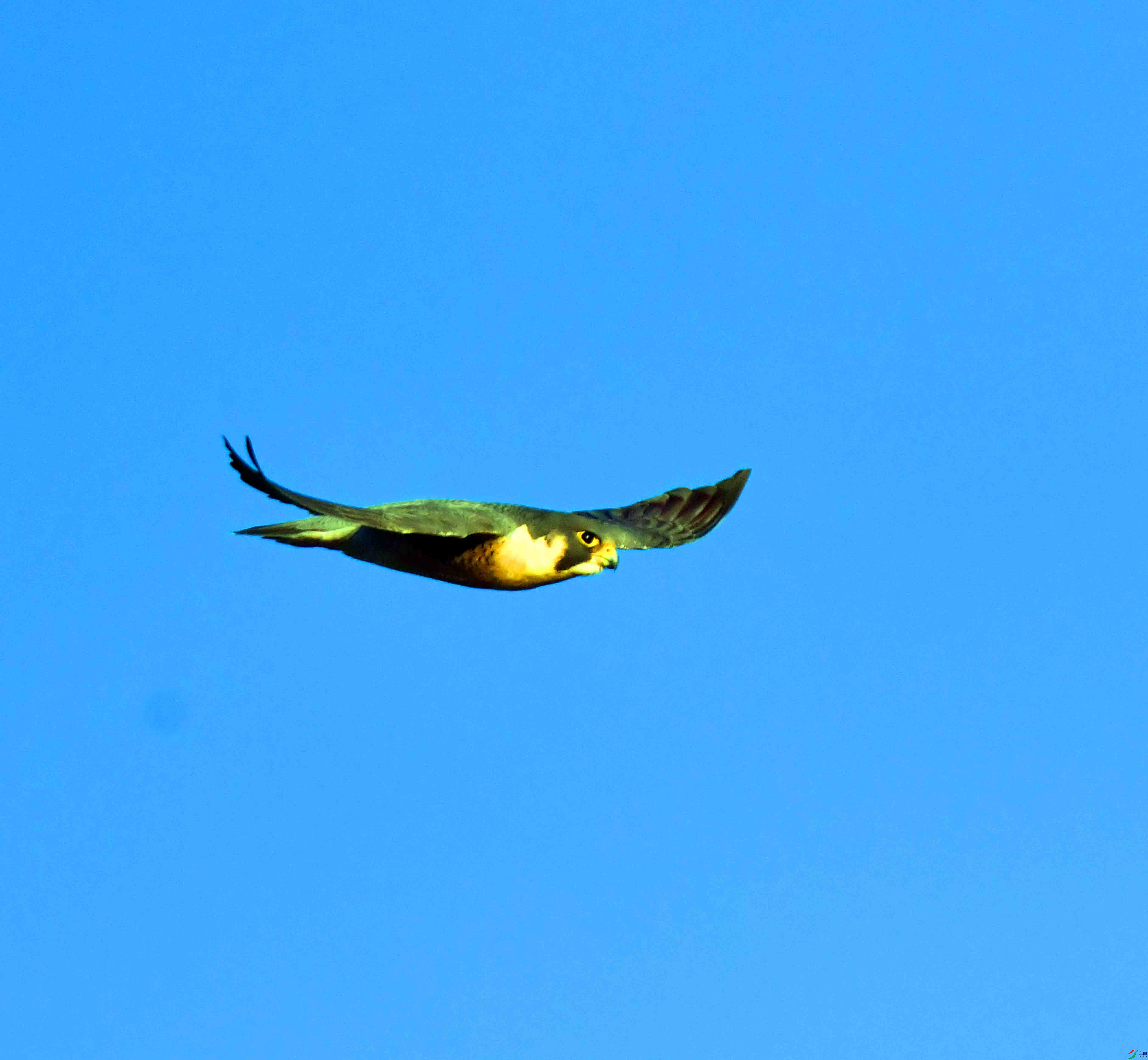 DSC_2913.JPG