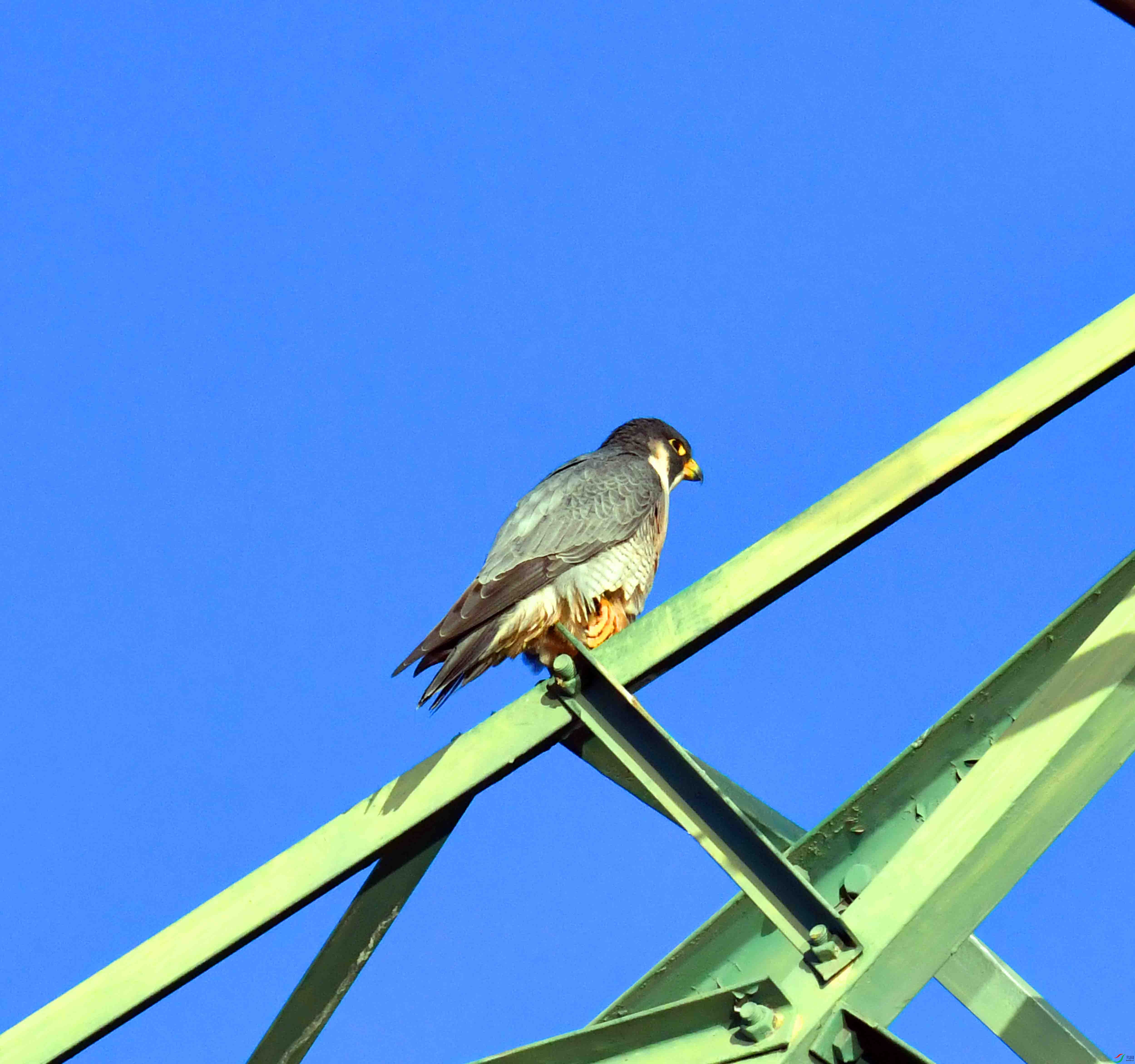 DSC_2934.JPG