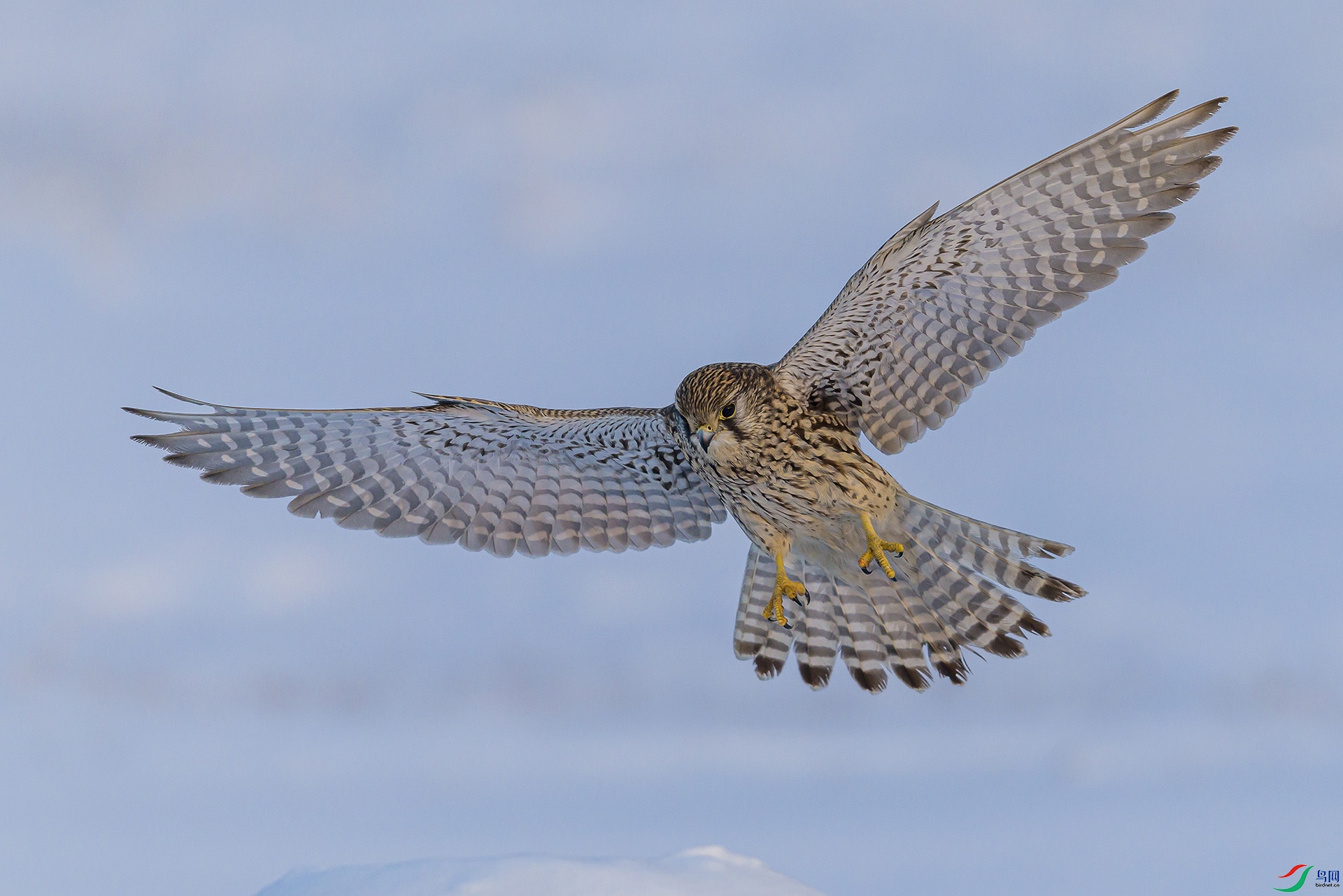 051A8673 ����n.jpg