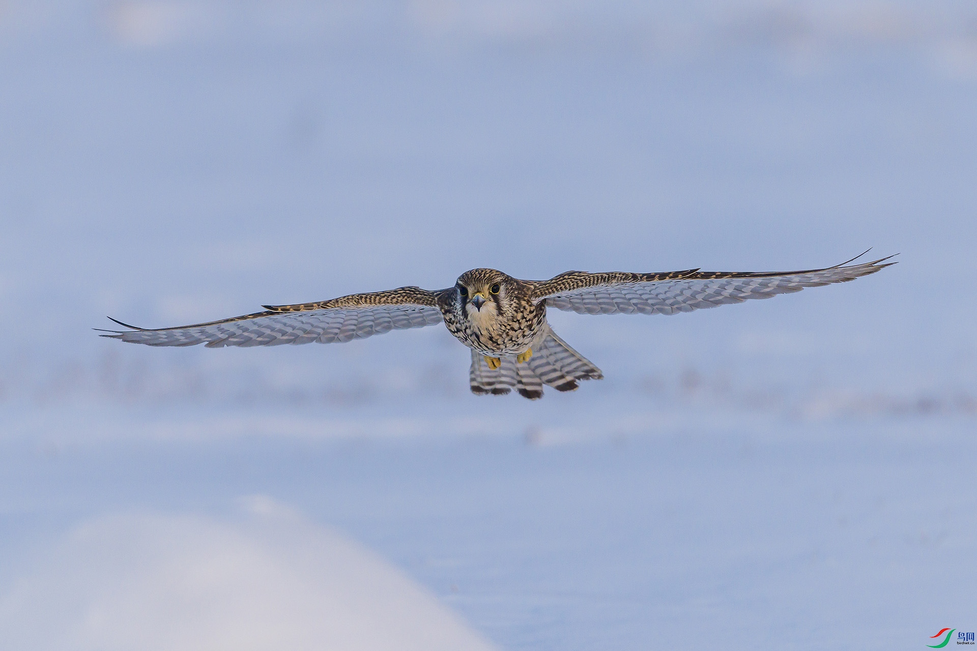 051A8661 ����n.jpg