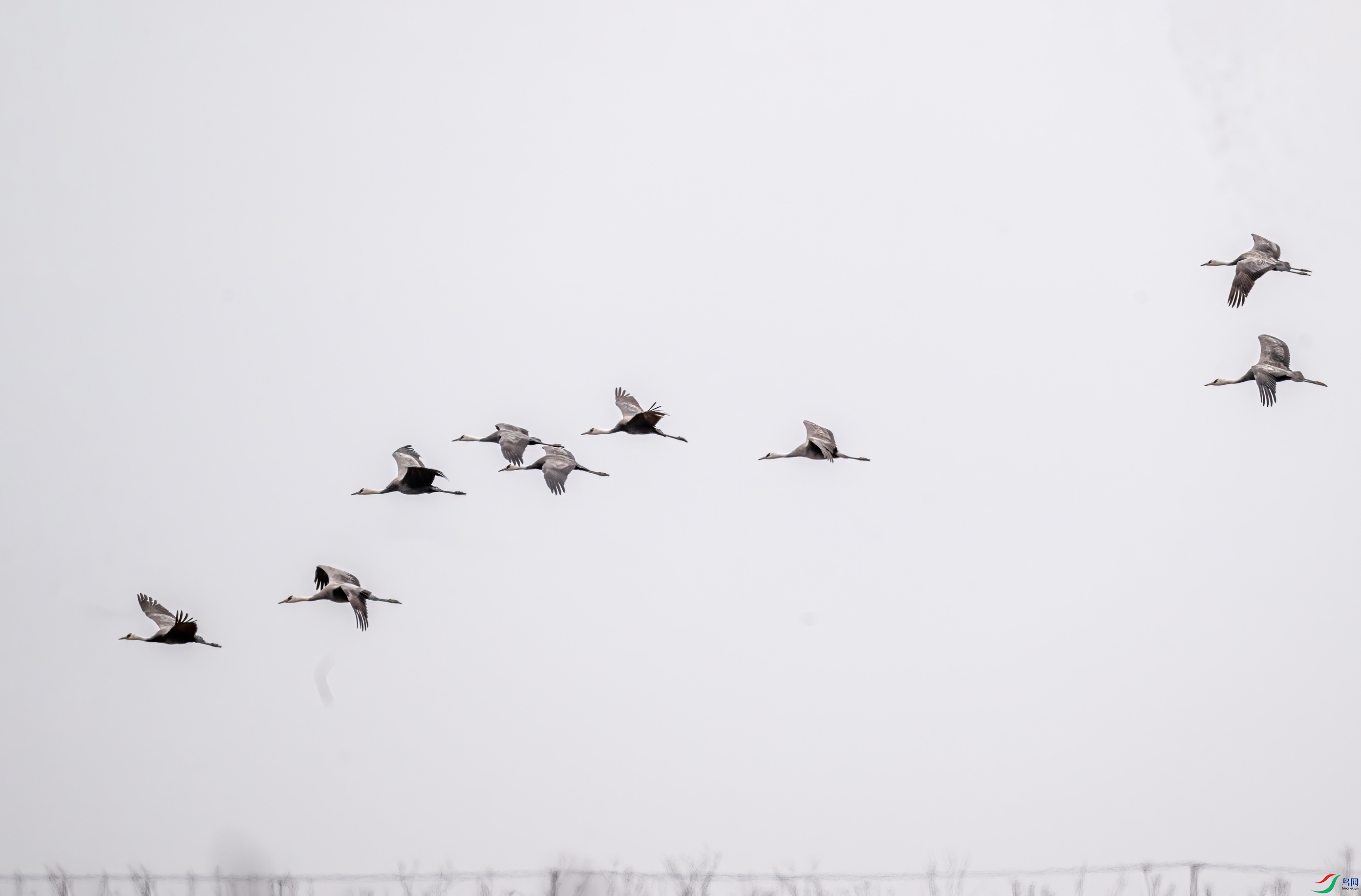 DSC_7335-11.jpg