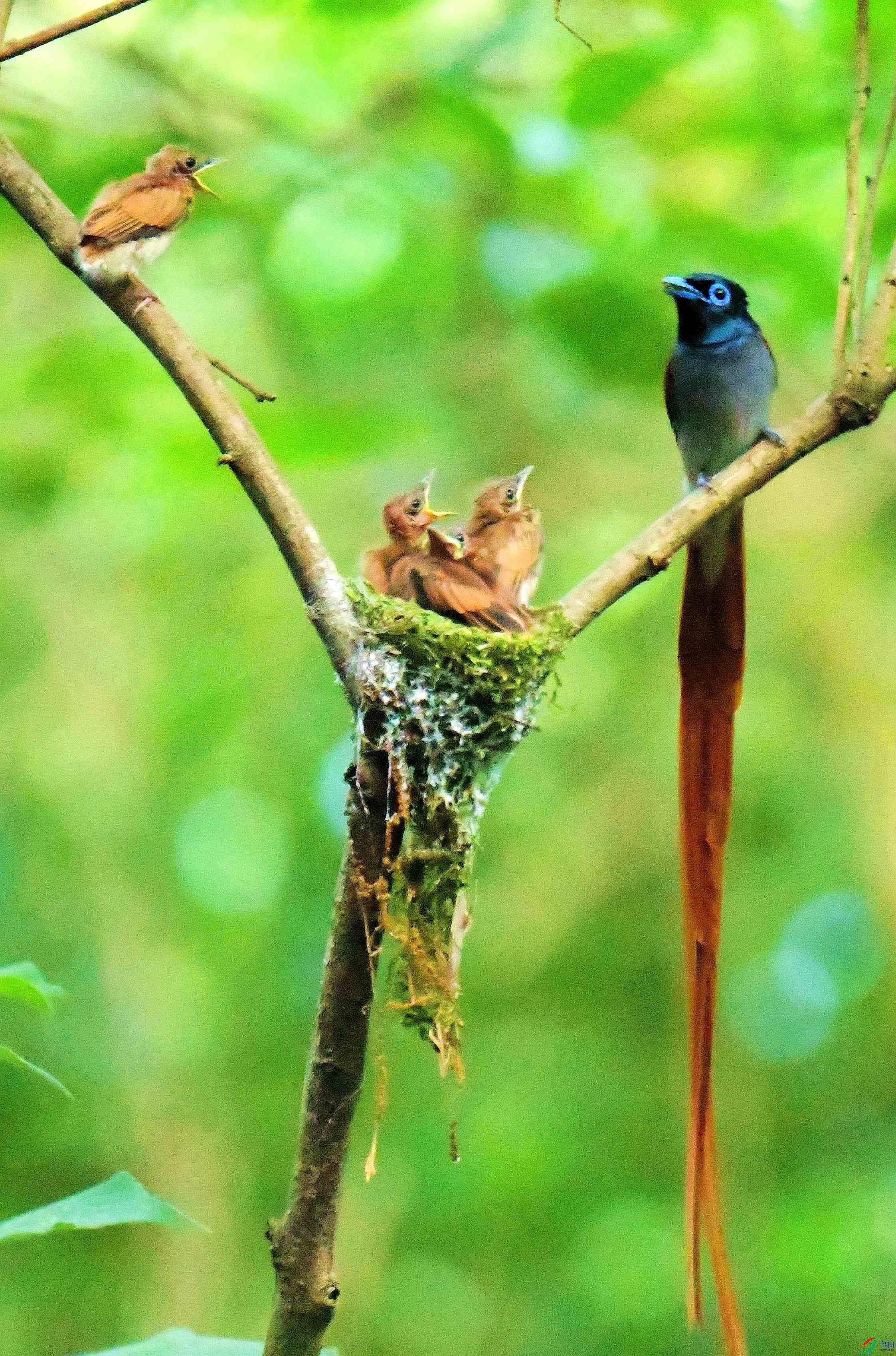 DSC_5906.JPG