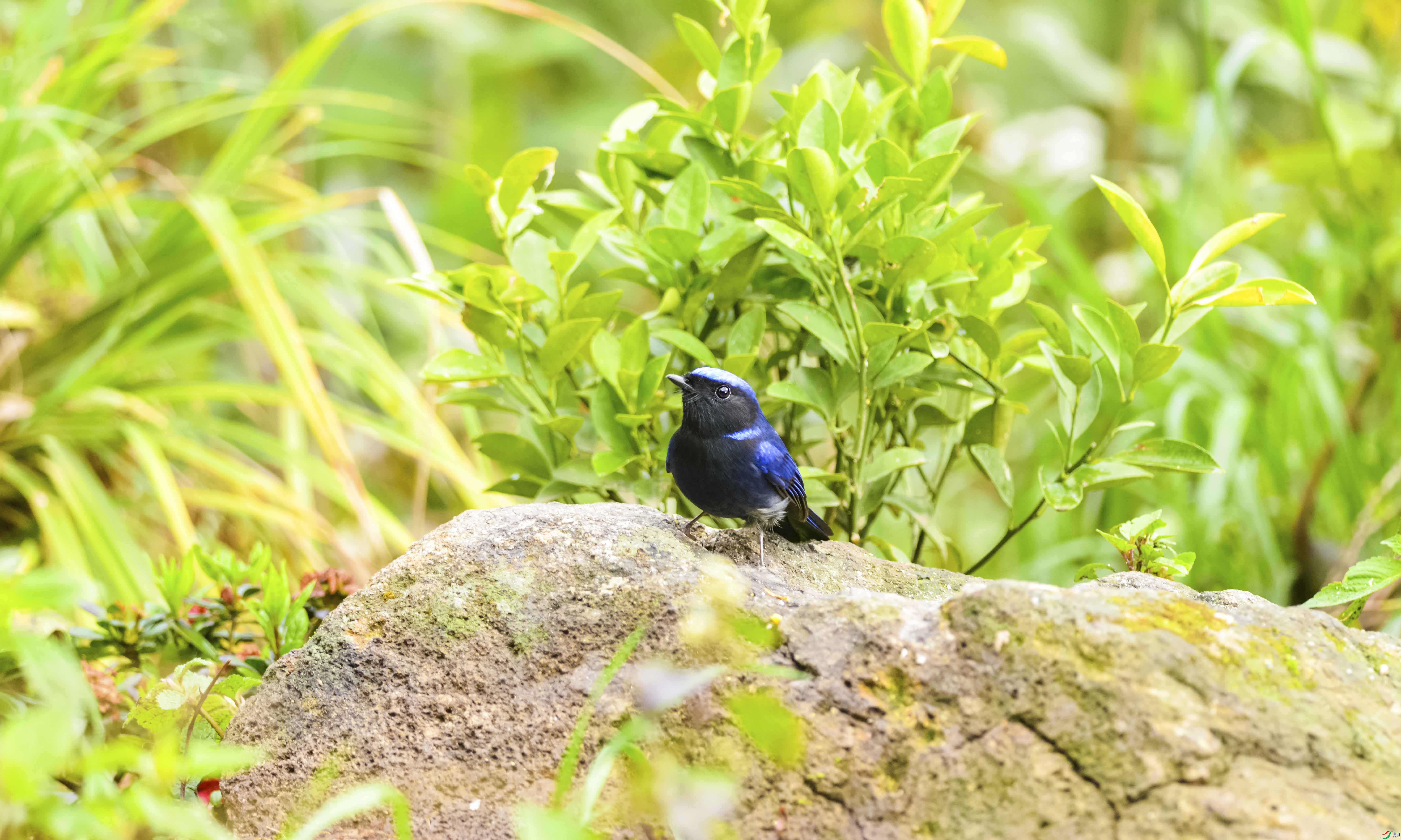 DSC_7615.jpg