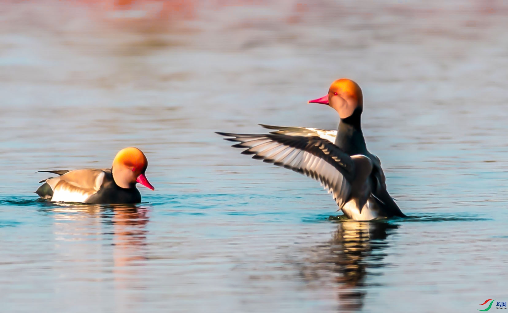 0N6A6730 ���� 2.jpg