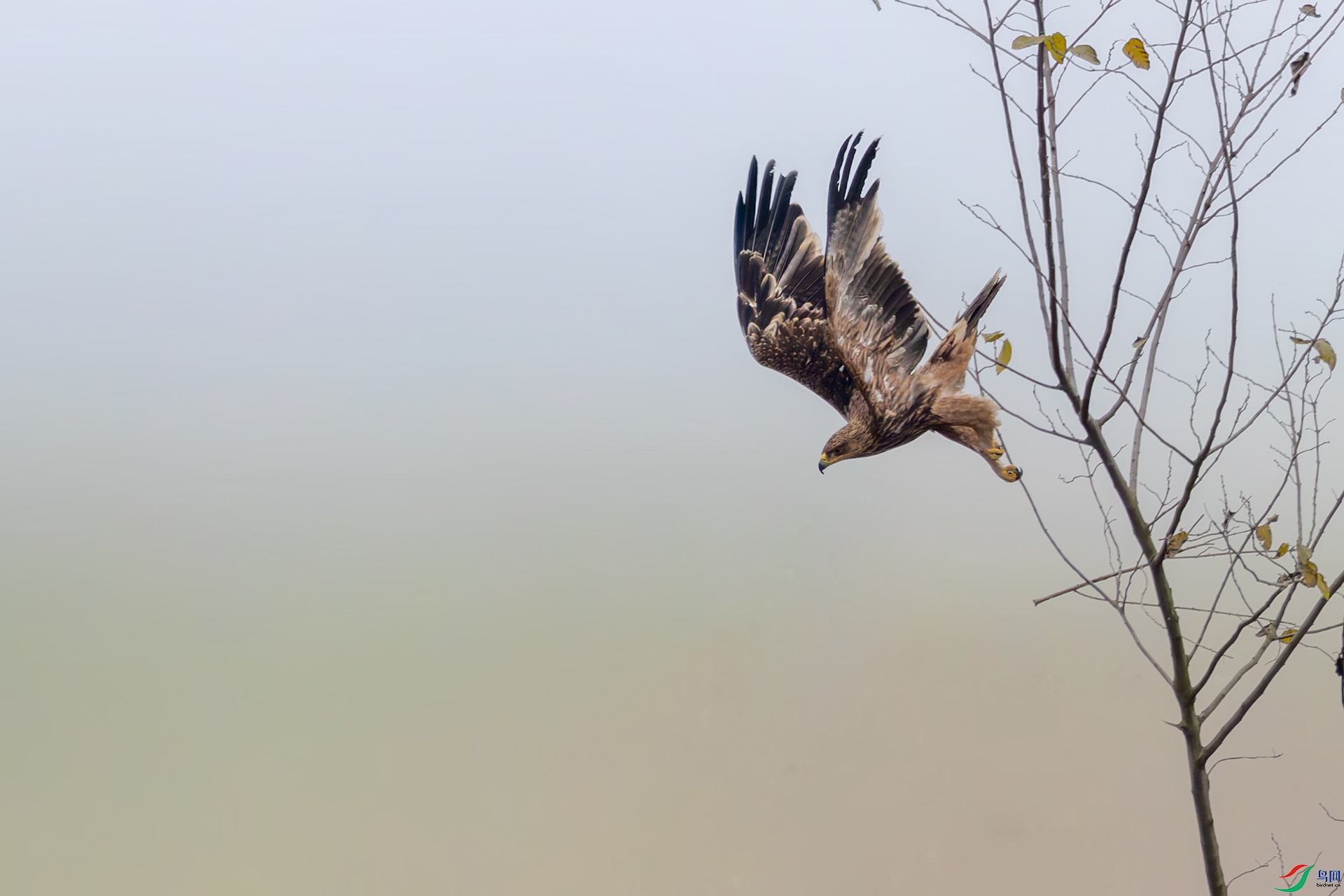 127A4812-DxO_DeepPRIME XD2s ����x.jpg