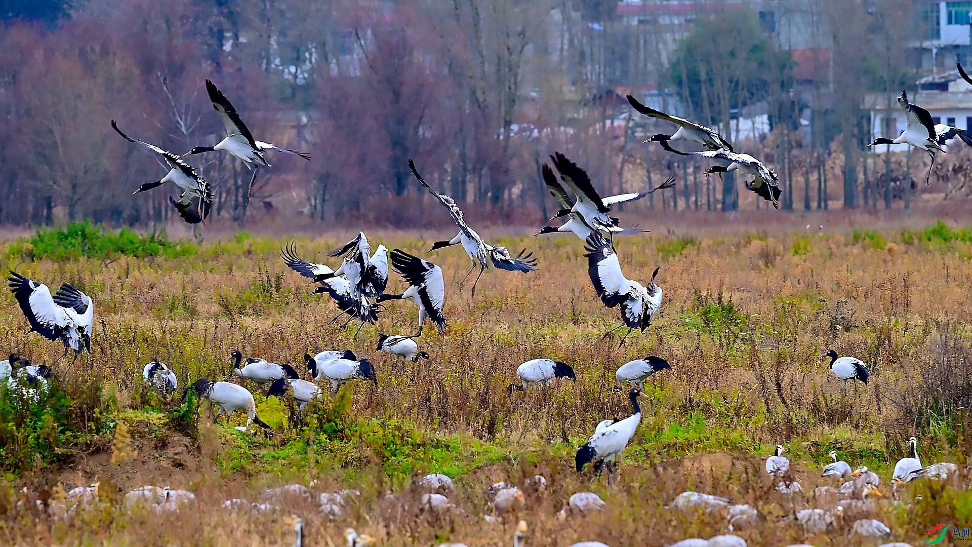 12��22�� (1).jpg