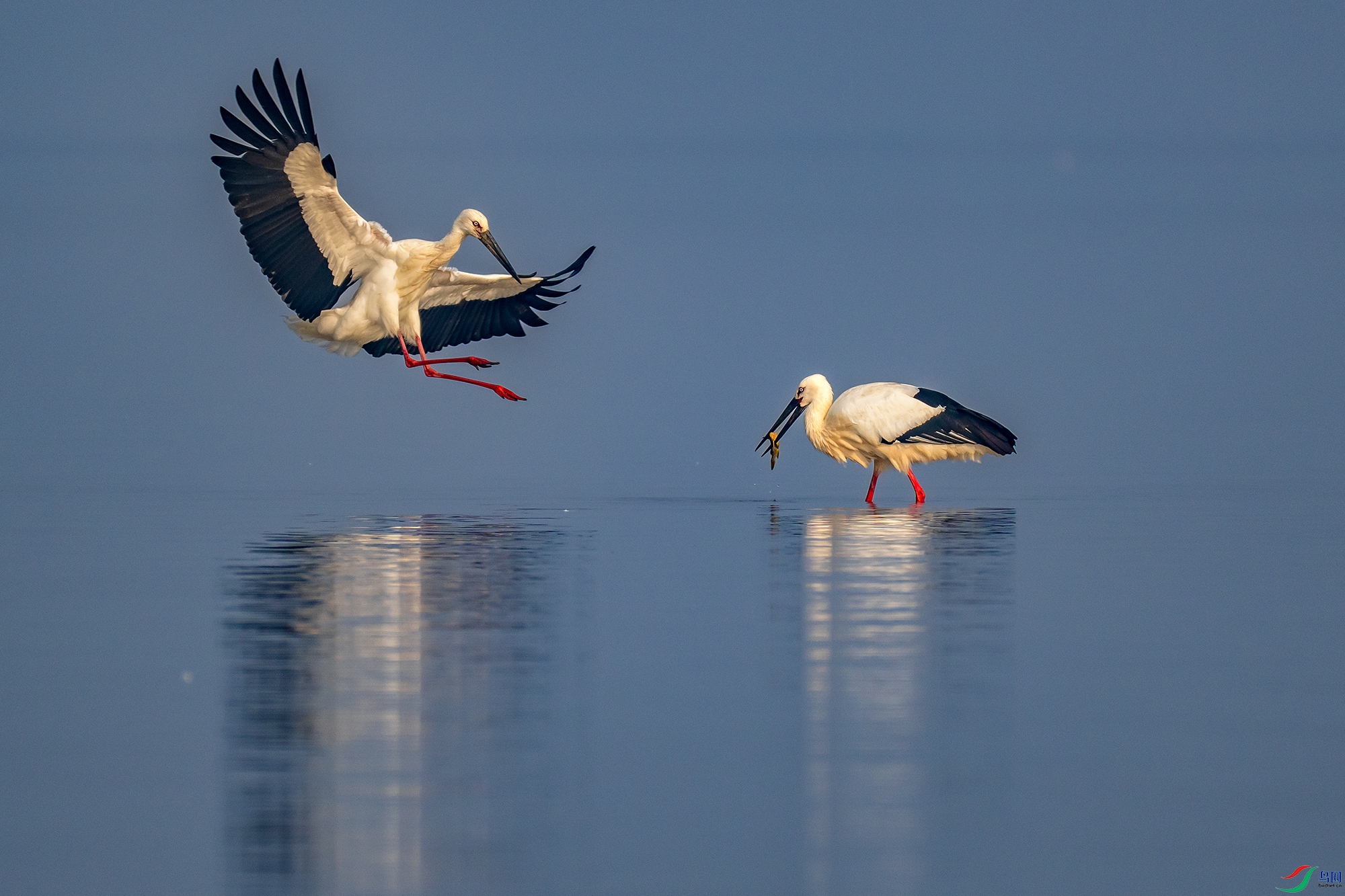 DSC_0010 ����11.jpg