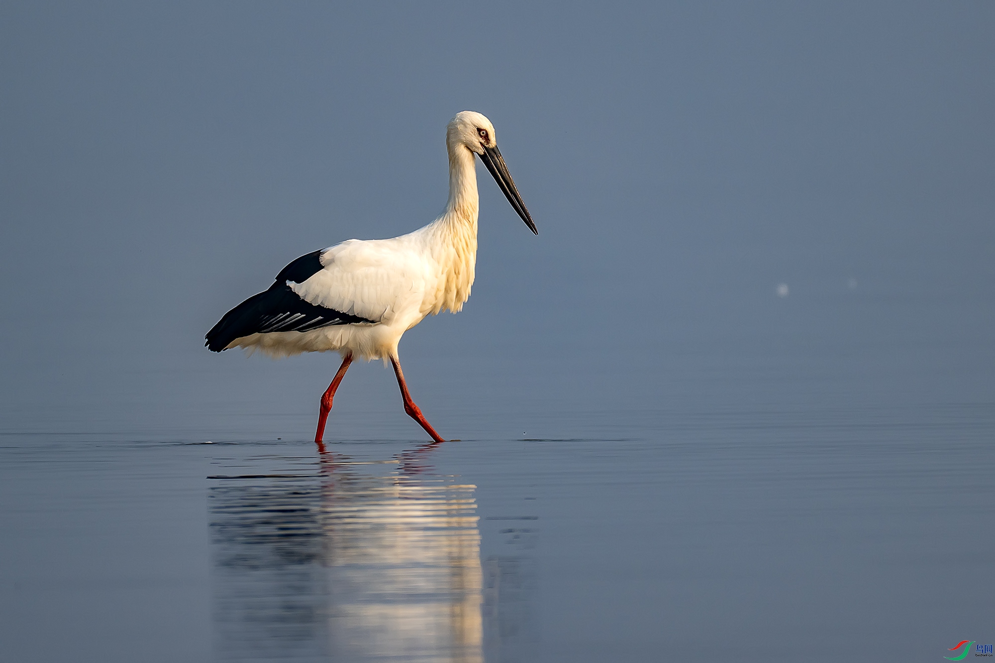 DSC_9813 ����11.jpg