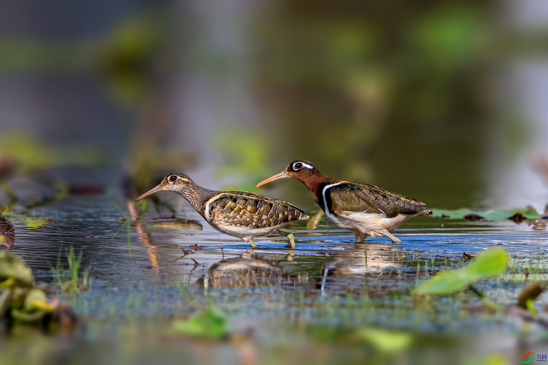 _AUU2333 �i��һ��(25.4.18).jpg