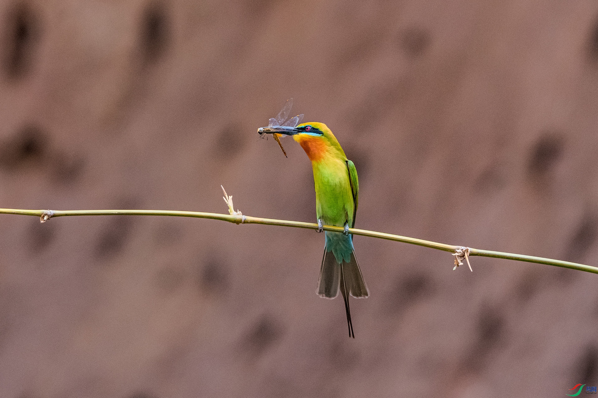 _AUU3998 ����(25.5.11).jpg