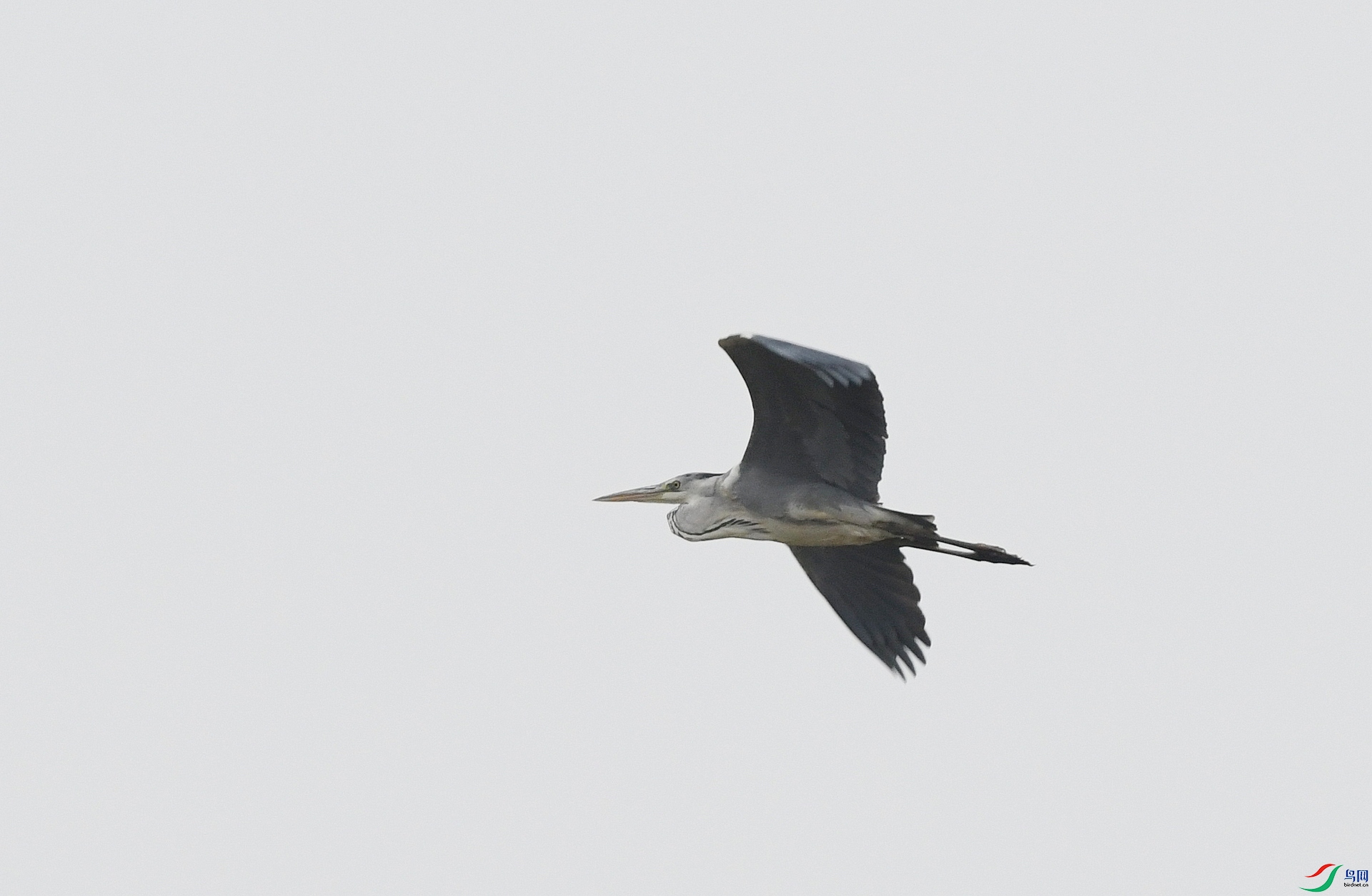 DSC_9631.jpg