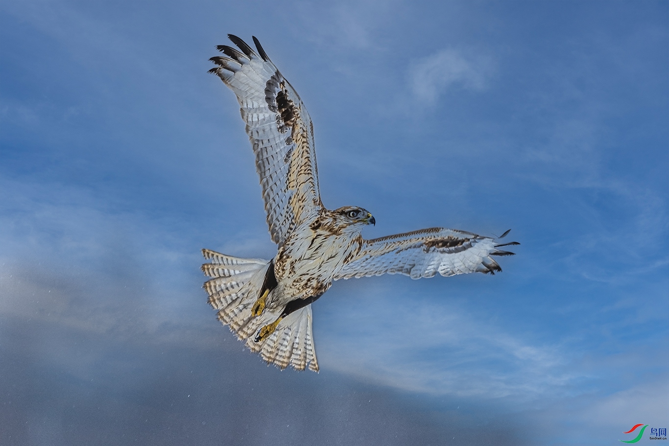 017A0522 ����.jpg