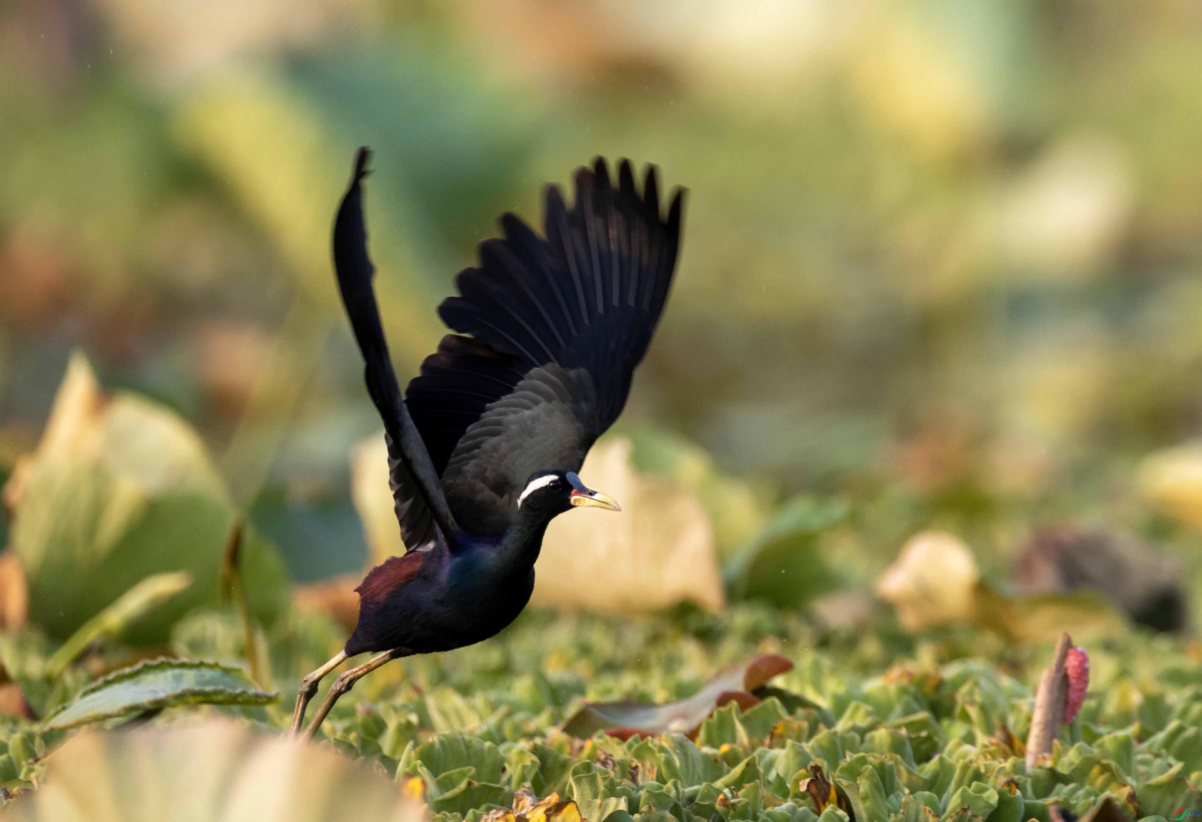 1-xt4L2A0315 ����.jpg