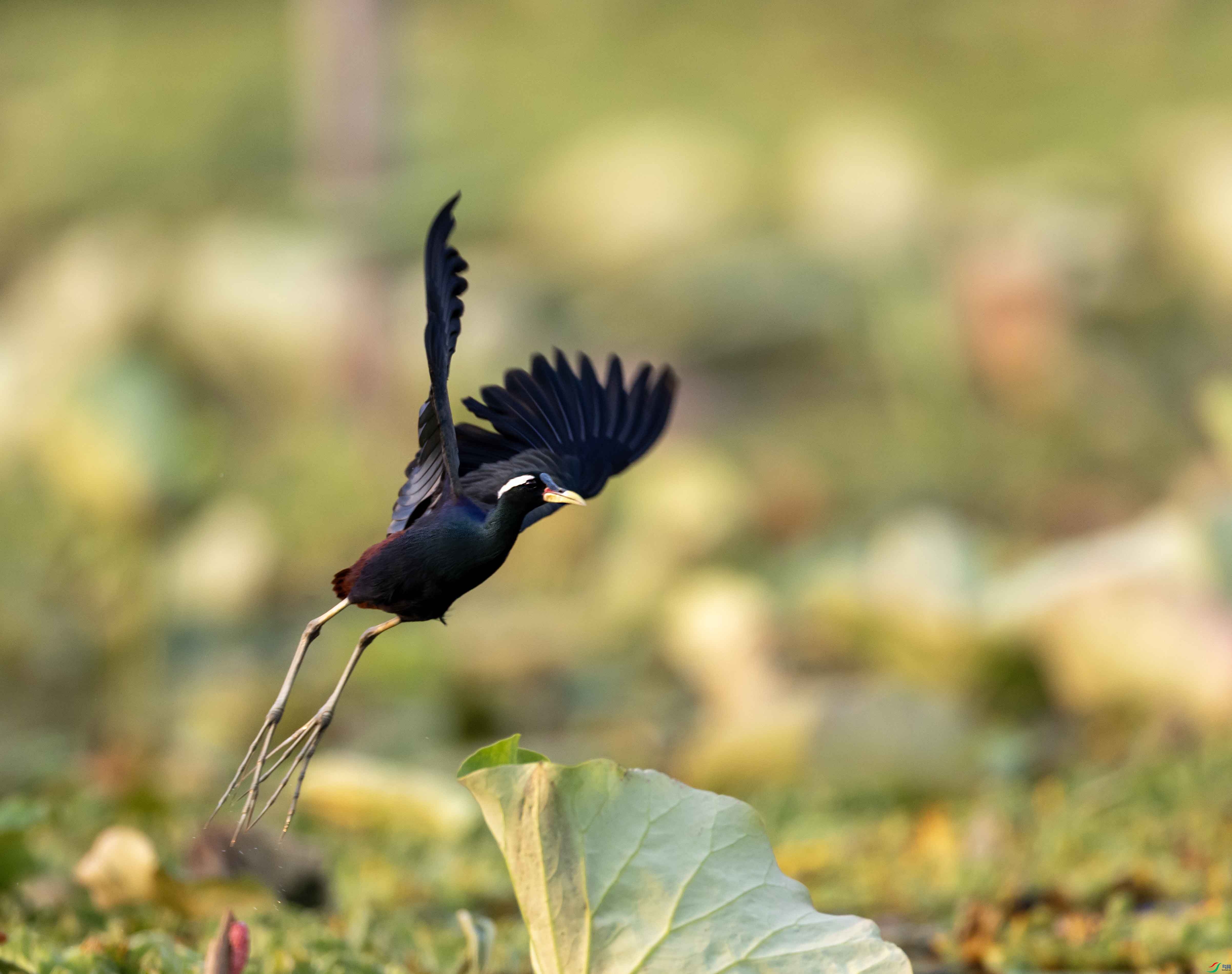 1-xt4L2A0318 ����.jpg