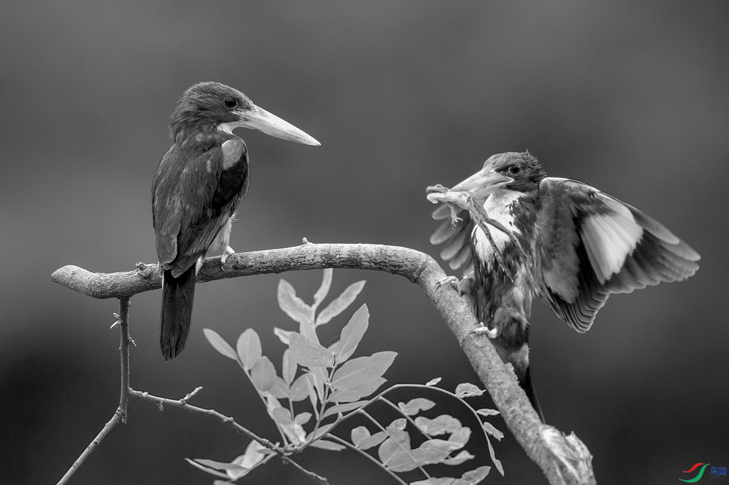 XSX_5723 ����.jpg