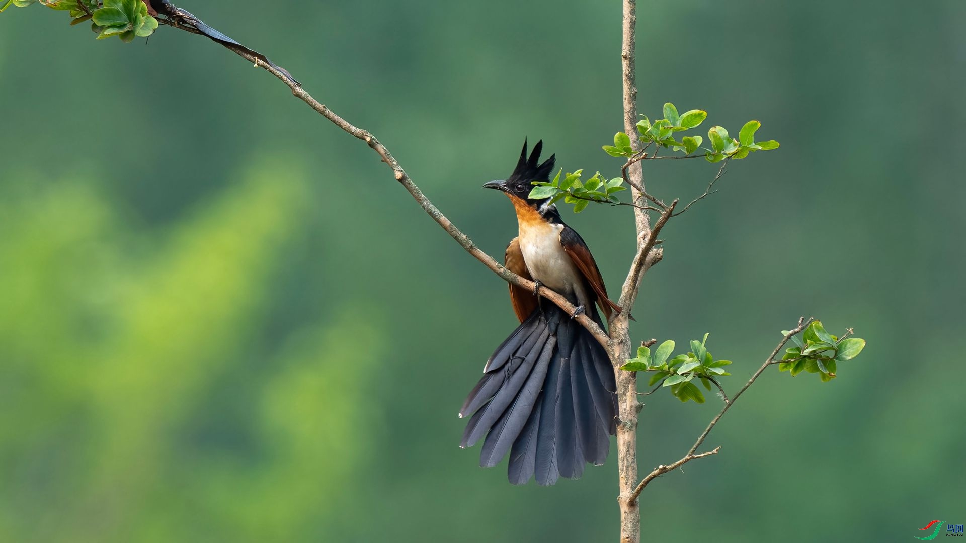 DSC07211 ����.jpg