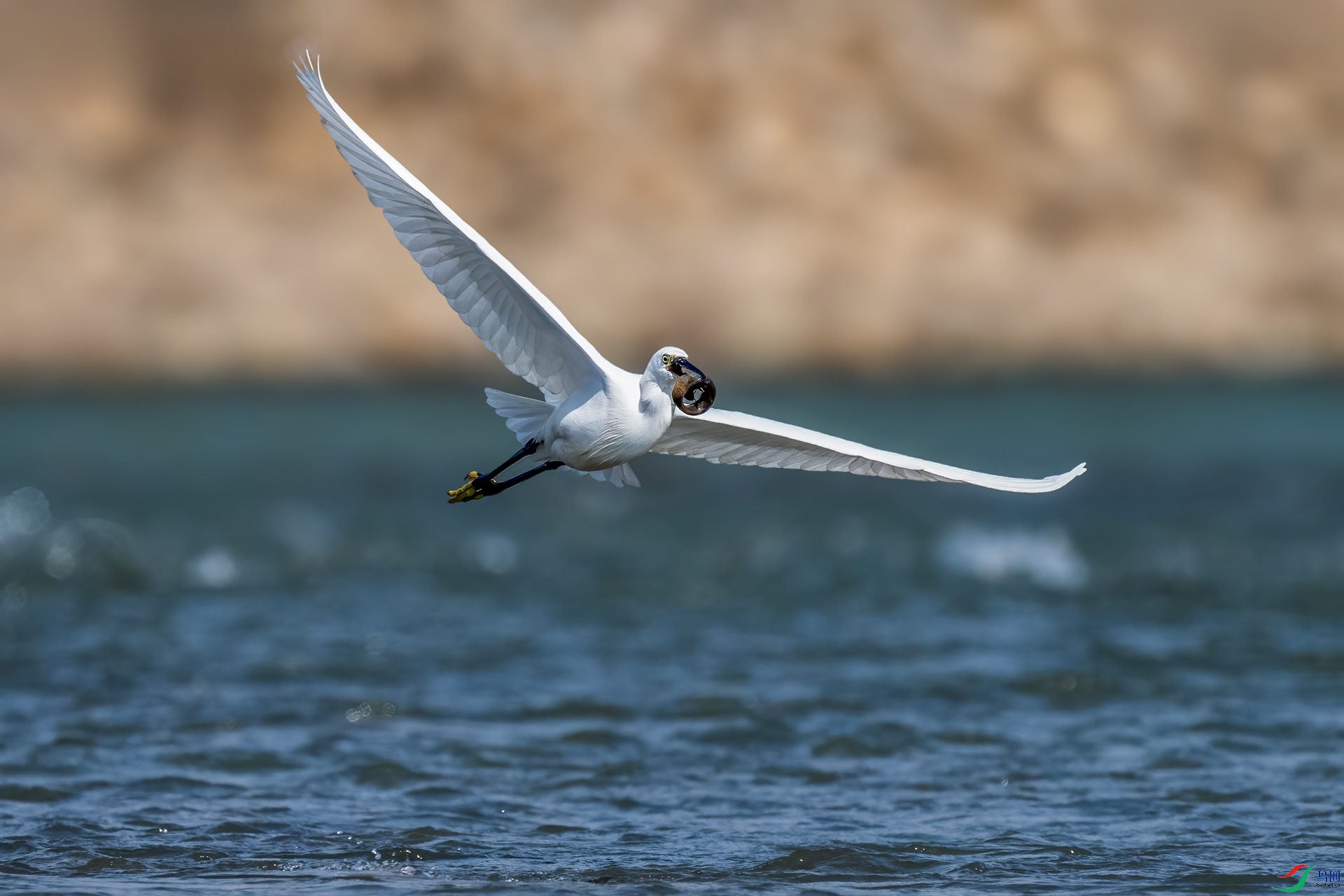 DSC_7607.jpg