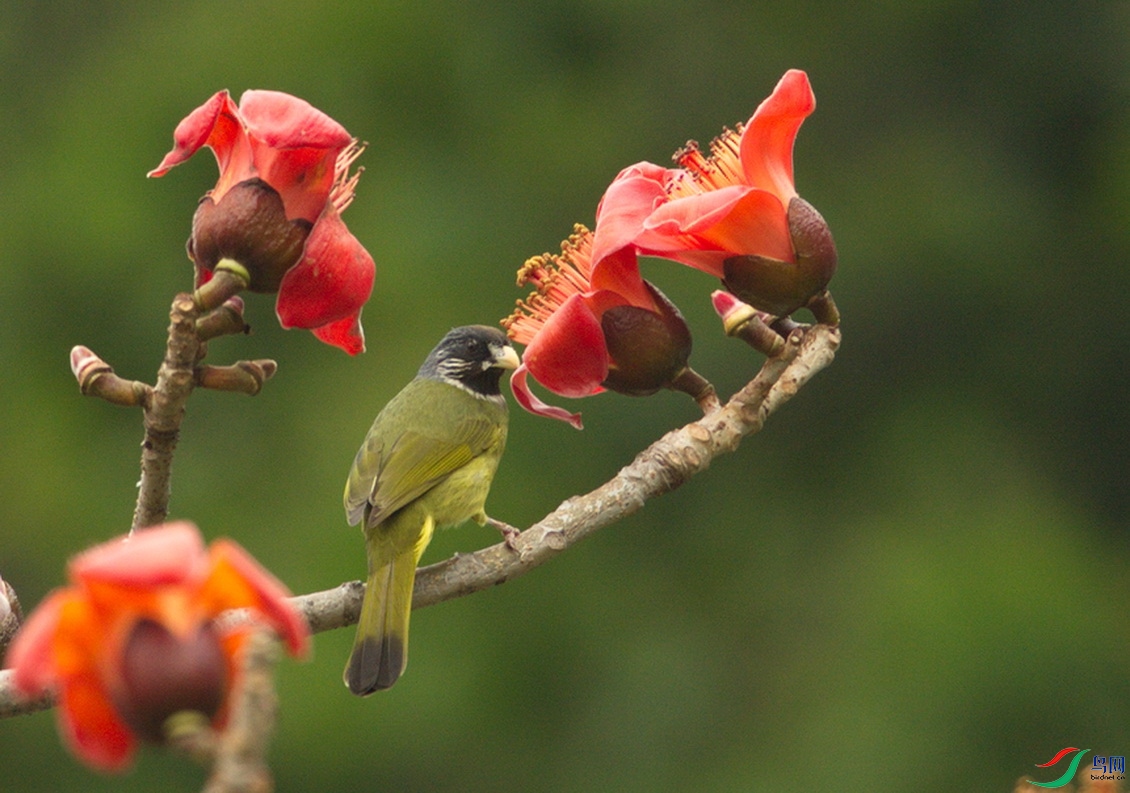 _DSC0000 (6).tifcn_������С.jpg