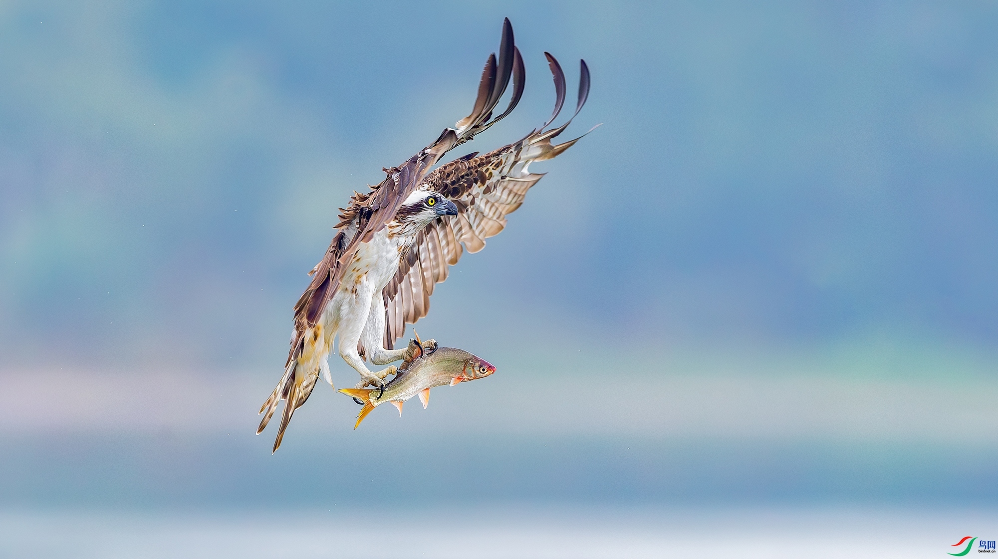 12.18Դ����Ȼ��ʦ��Ʒ  ����չ�������ף���ٻ����������.jpg